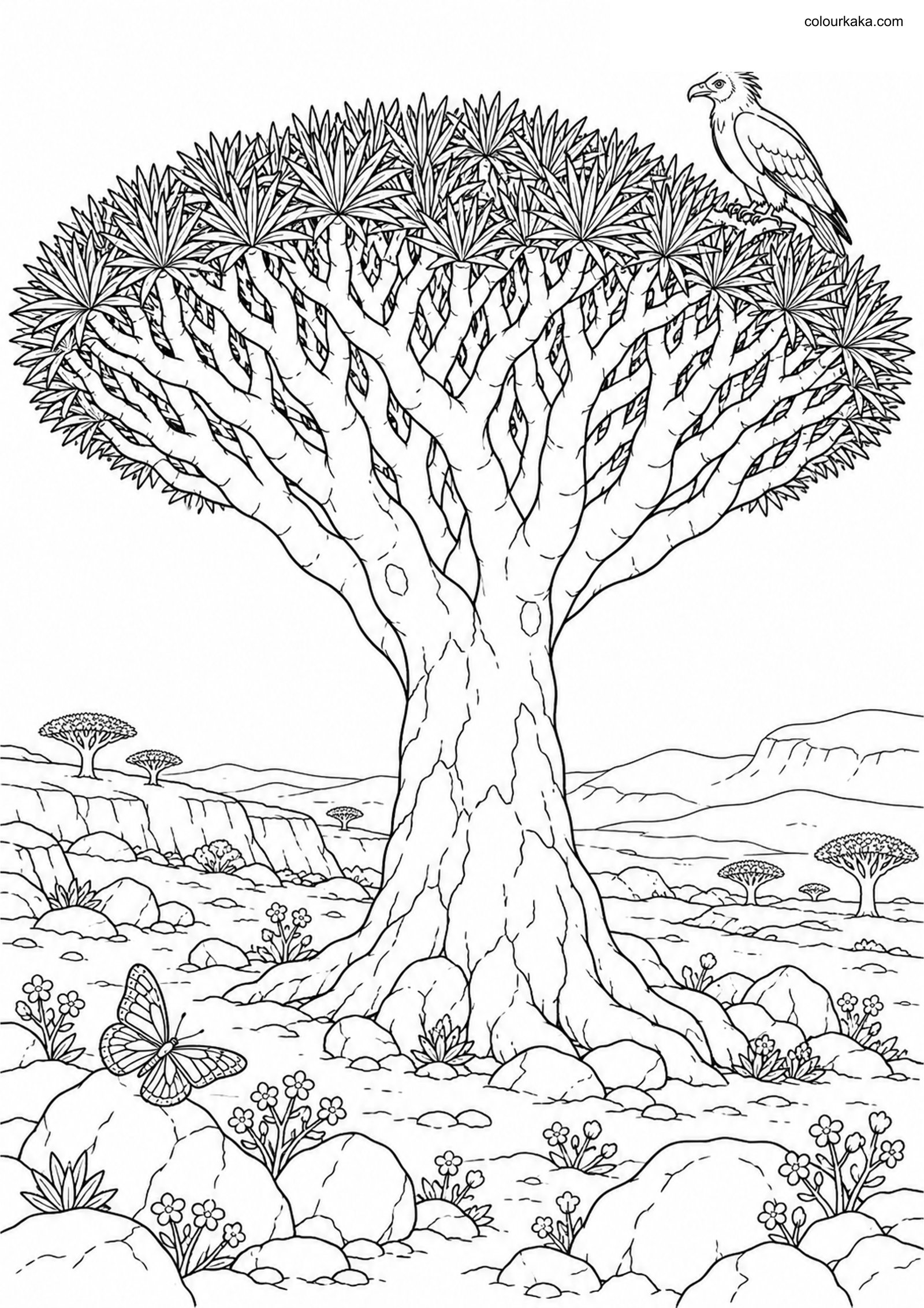 Dragon Blood Tree Colouring colouring page preview