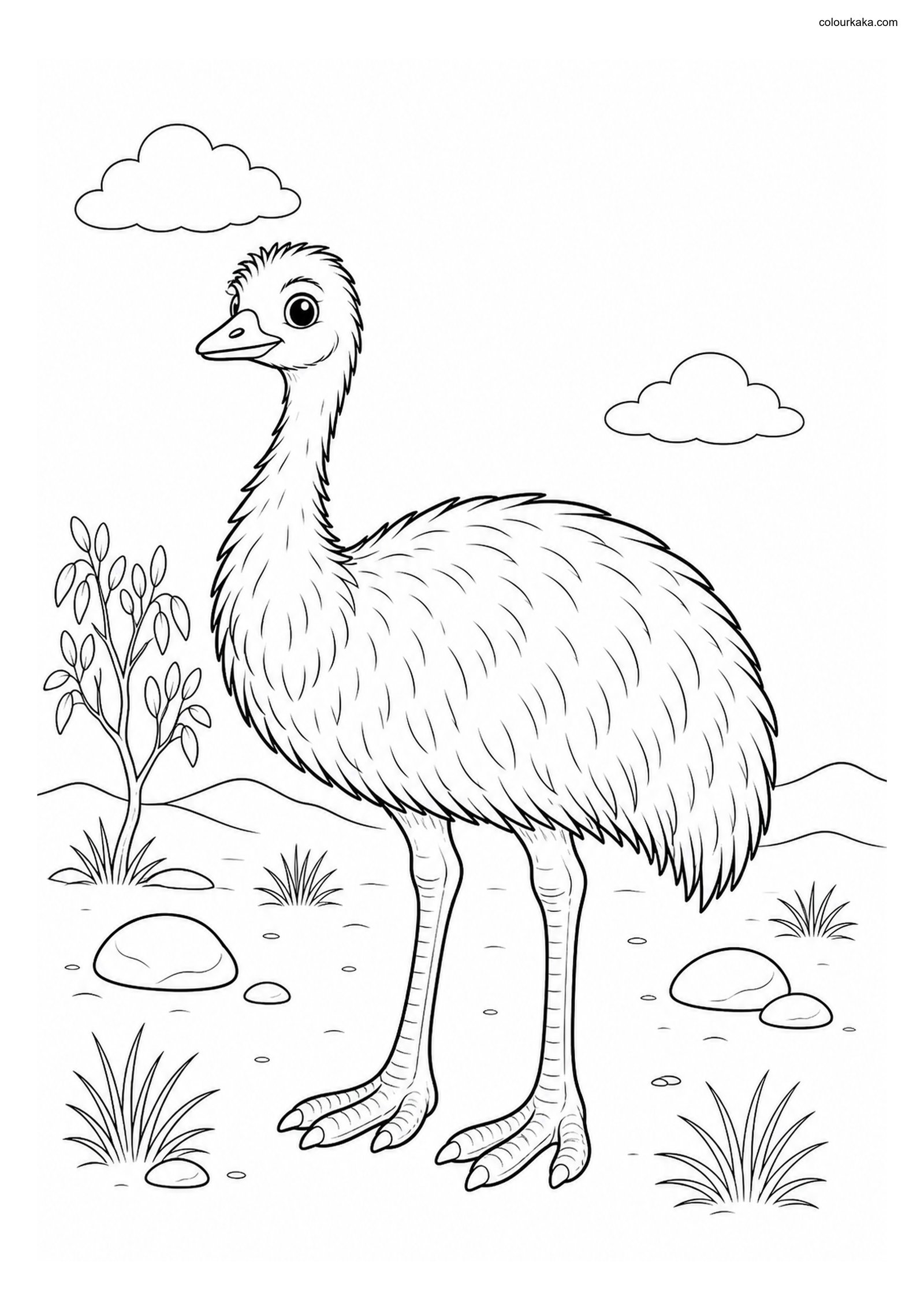 Emu Outback Colouring Adventure colouring page preview