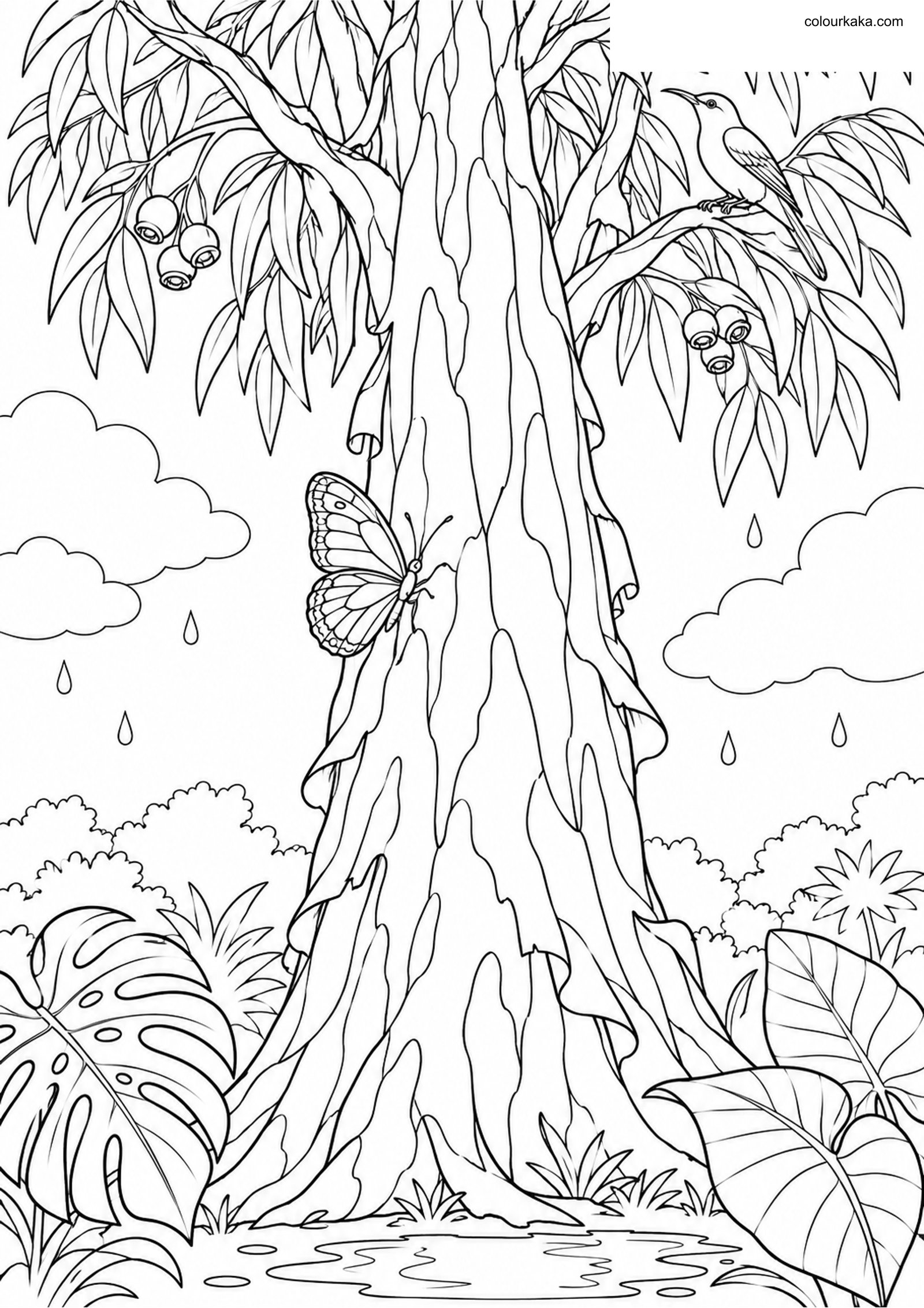 Rainbow Eucalyptus Colouring colouring page preview