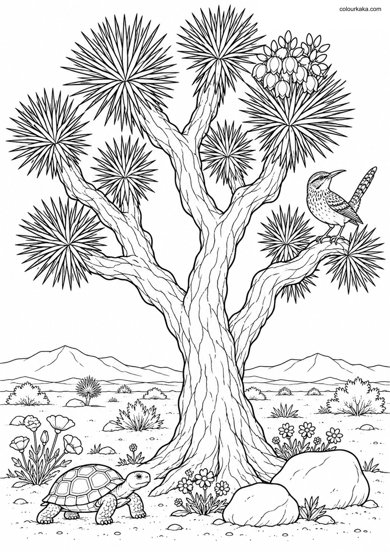 Joshua Tree Desert Colouring colouring page preview