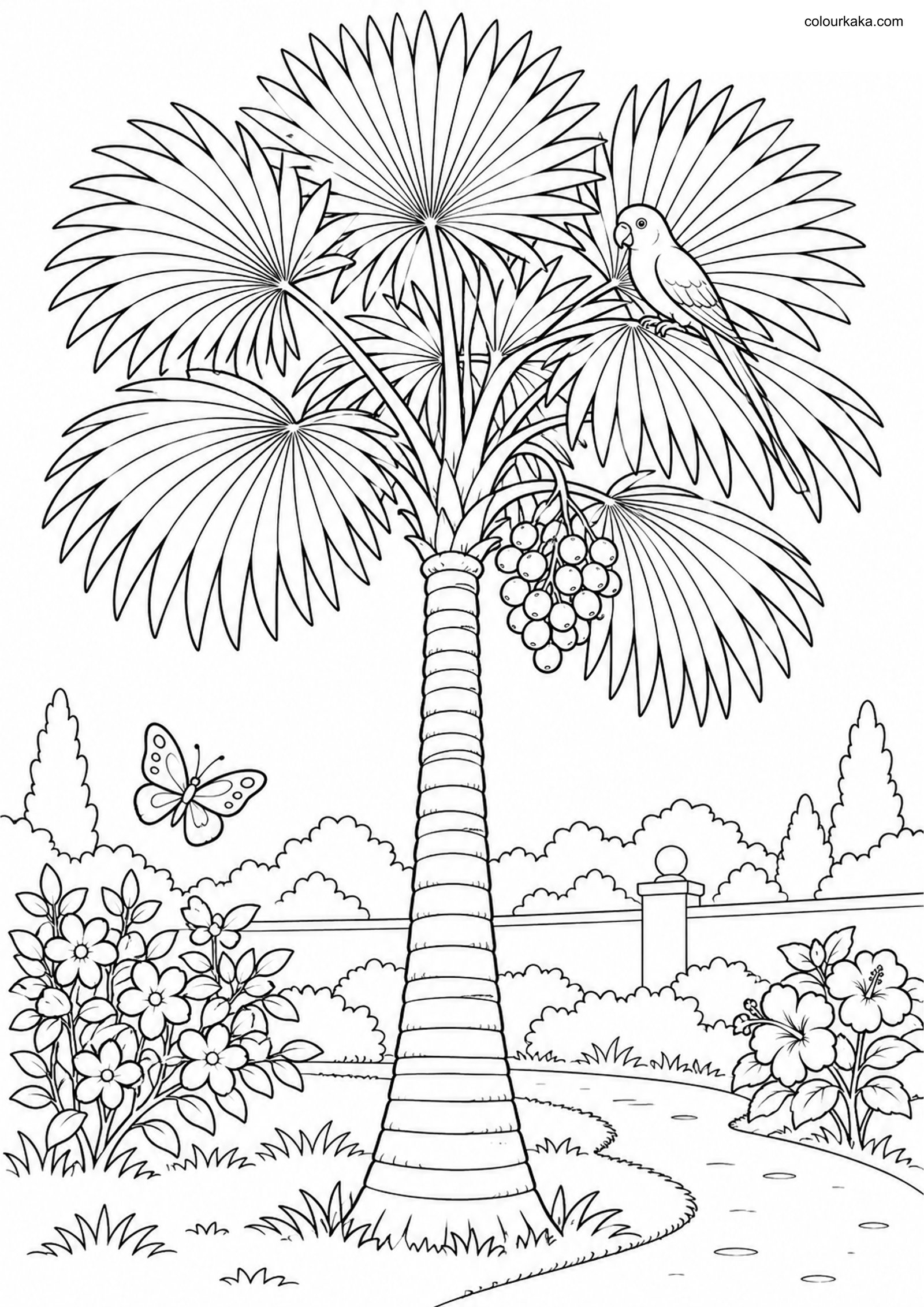 Fan Palm Garden Colouring colouring page preview