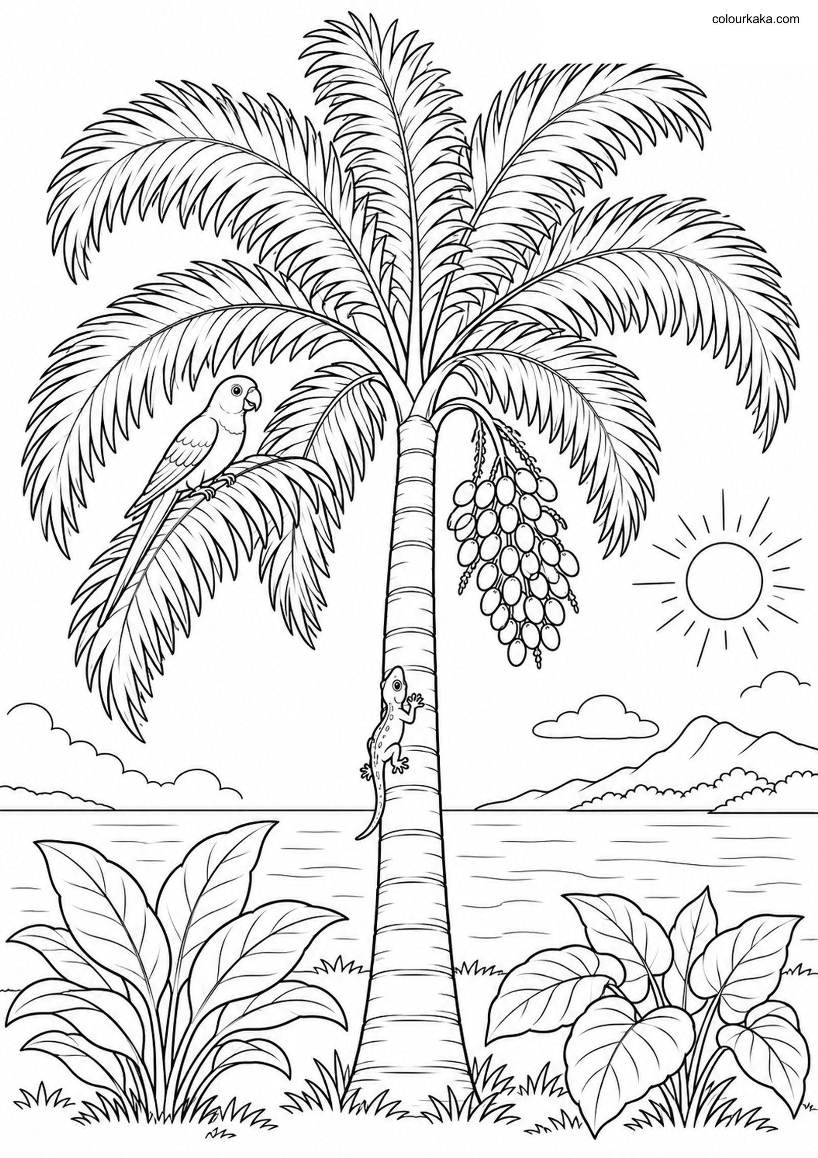 Foxtail Palm Colouring Page colouring page preview