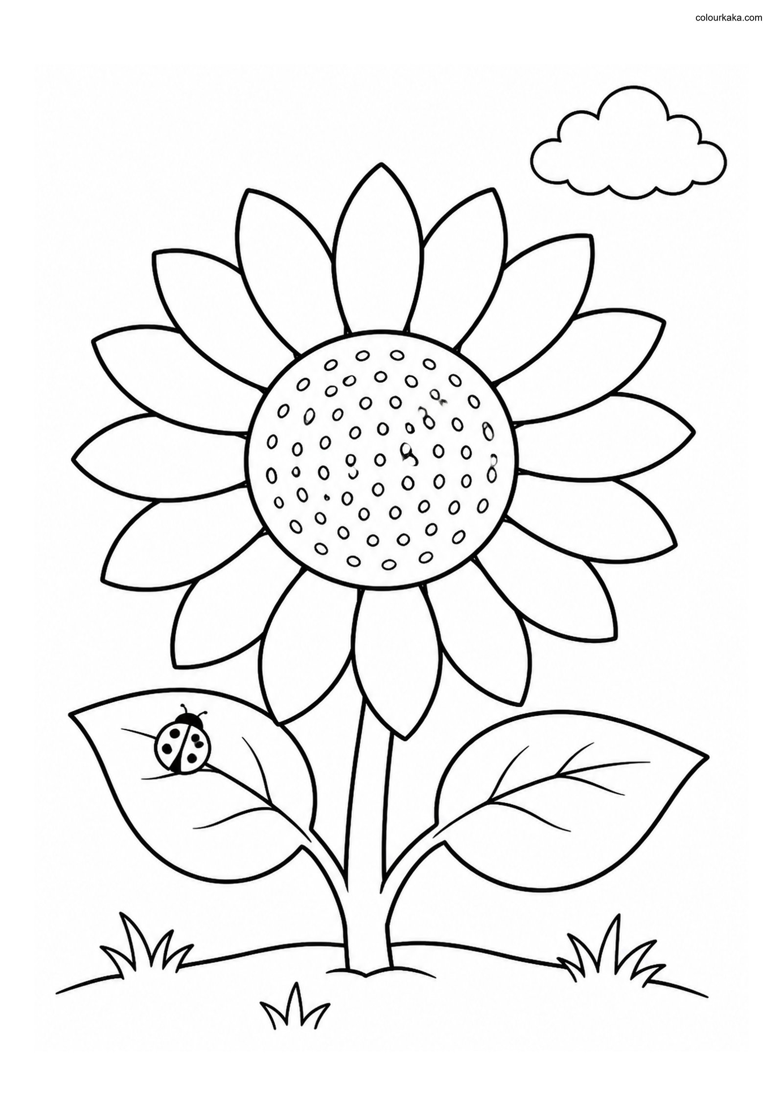 Sunflower Garden Colouring colouring page preview