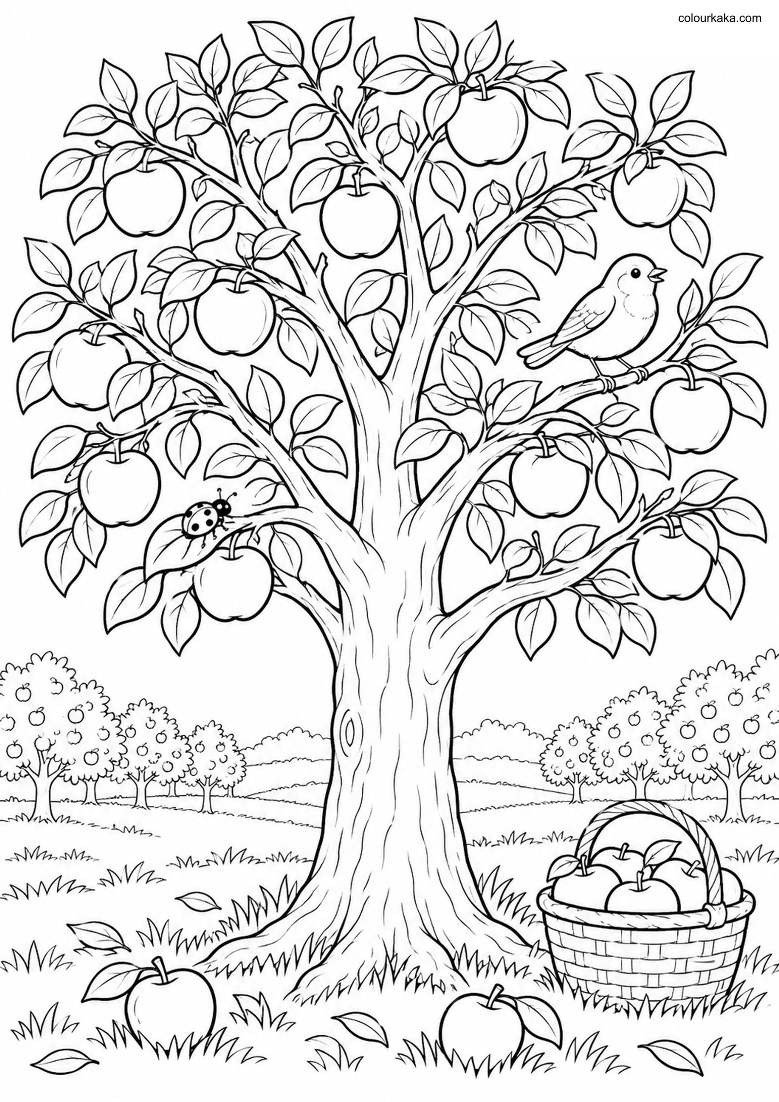 Apple Tree Autumn Colouring colouring page preview