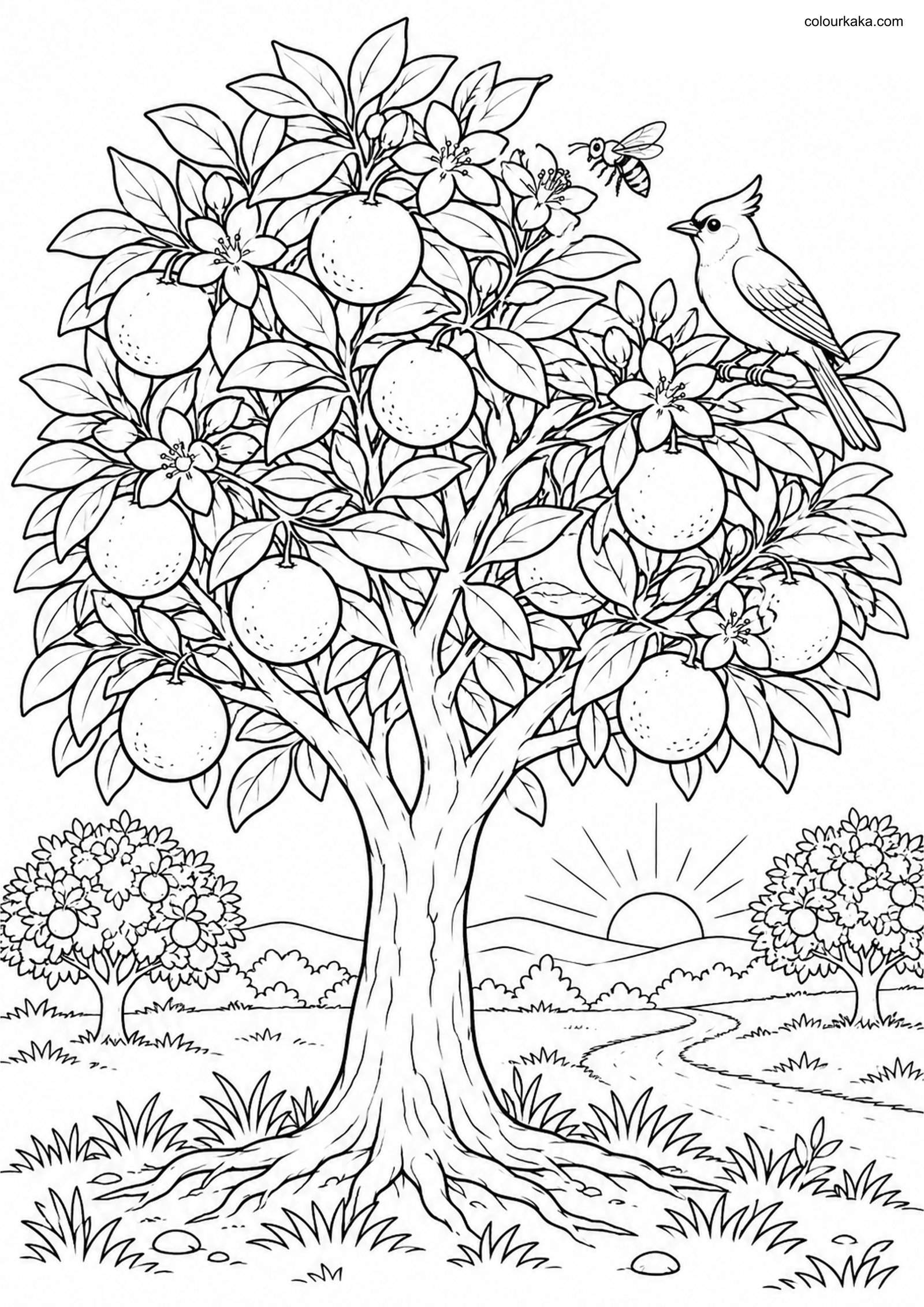 Orange Tree Winter Colouring colouring page preview