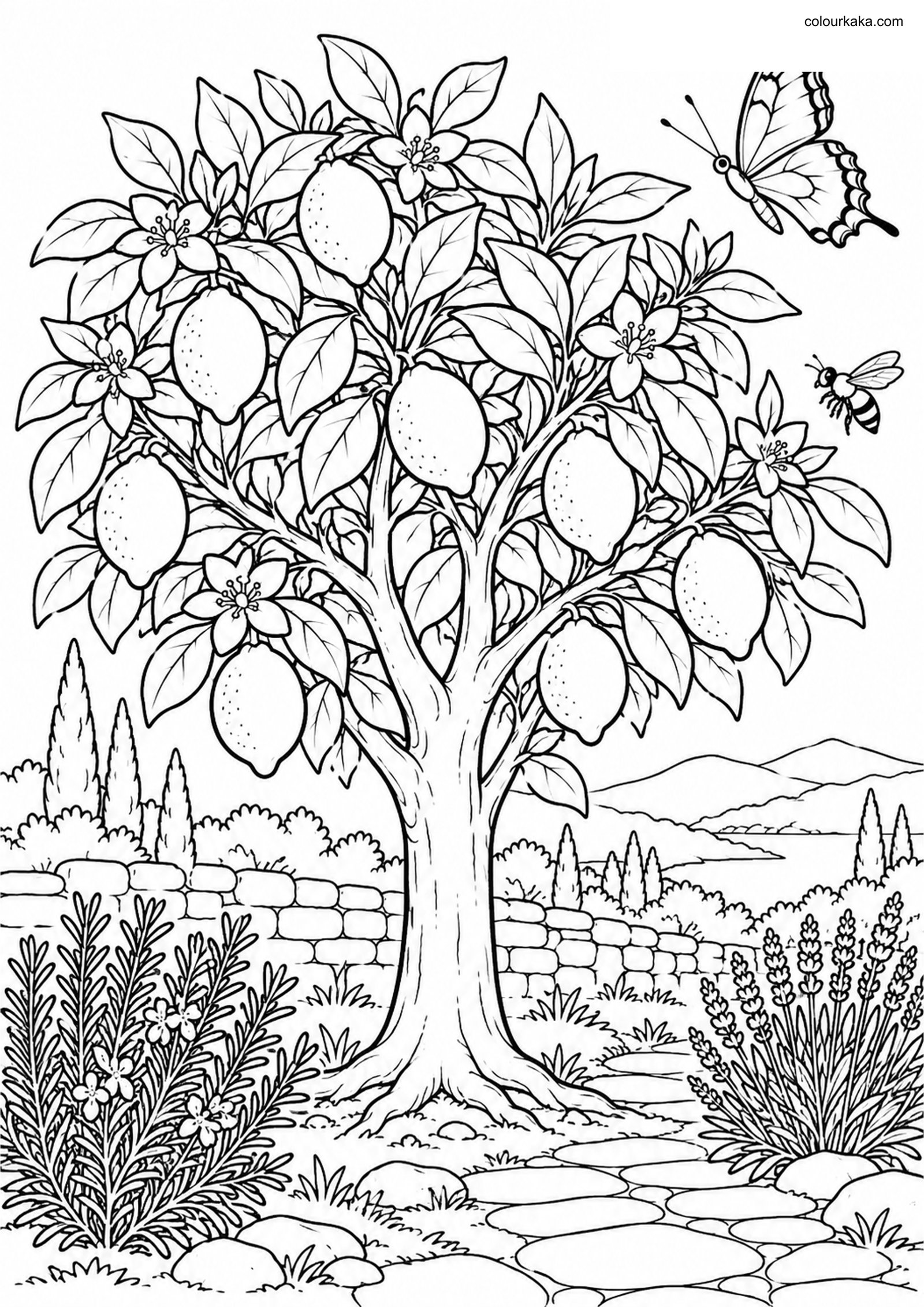 Lemon Tree Garden Colouring colouring page preview