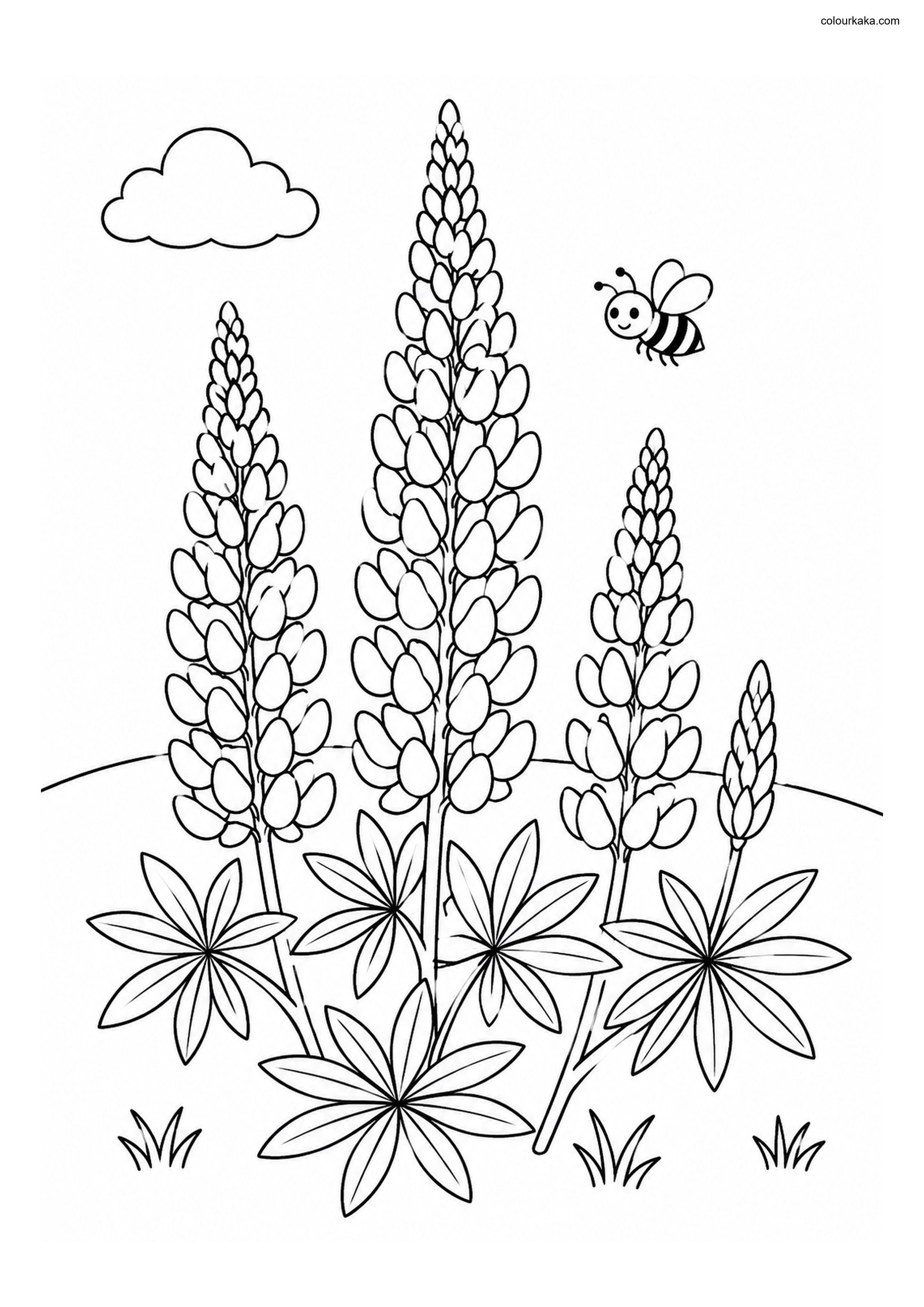 Lupine Meadow Colouring Page colouring page preview