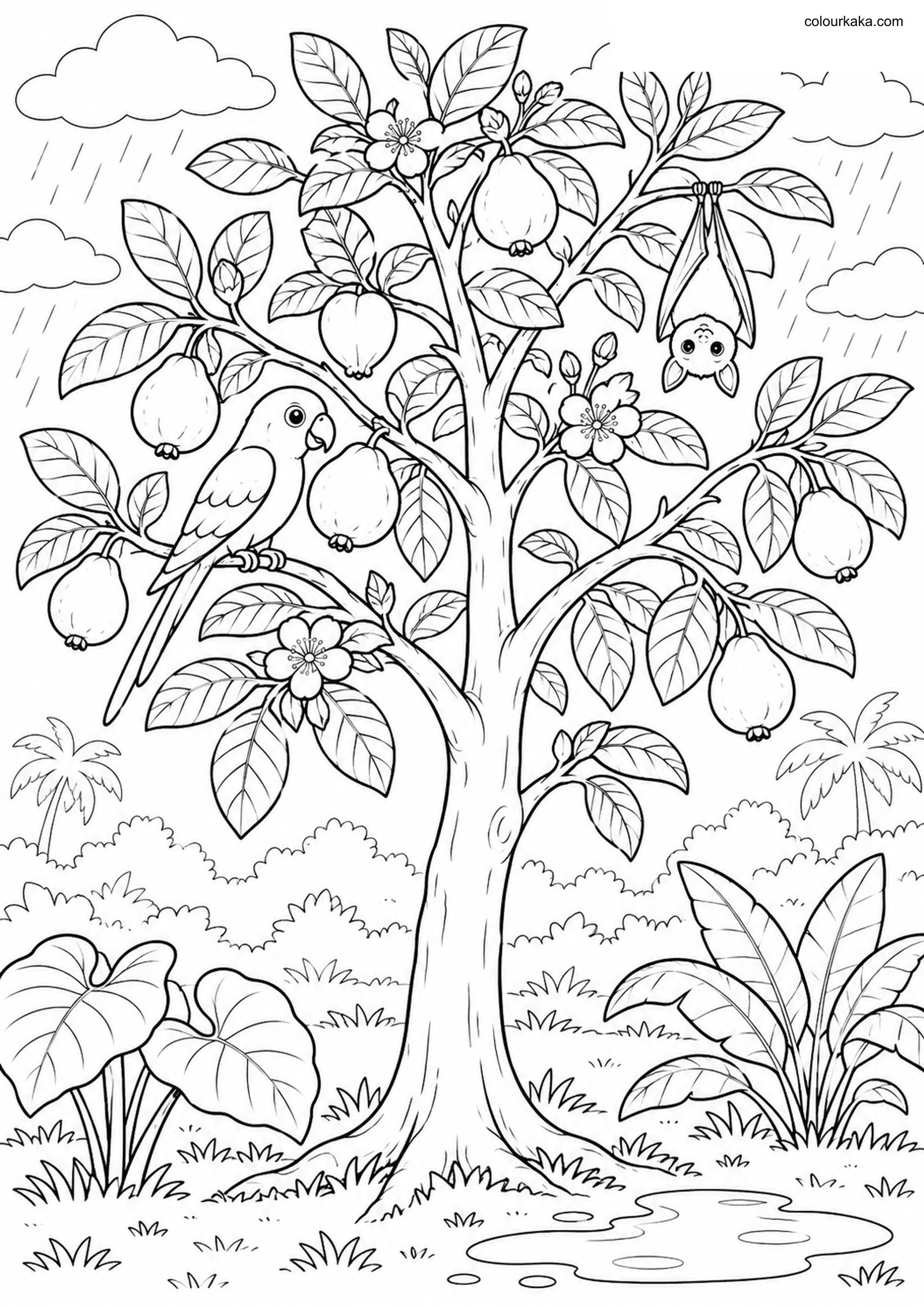 Guava Tree Rainy Colouring colouring page preview