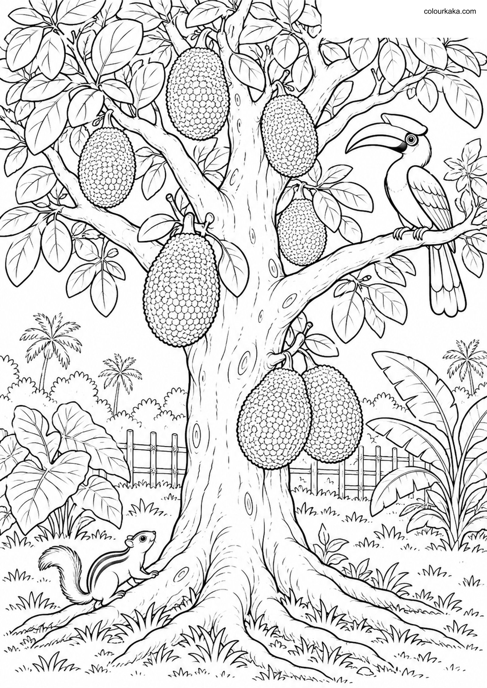 Jackfruit Tree Colouring colouring page preview