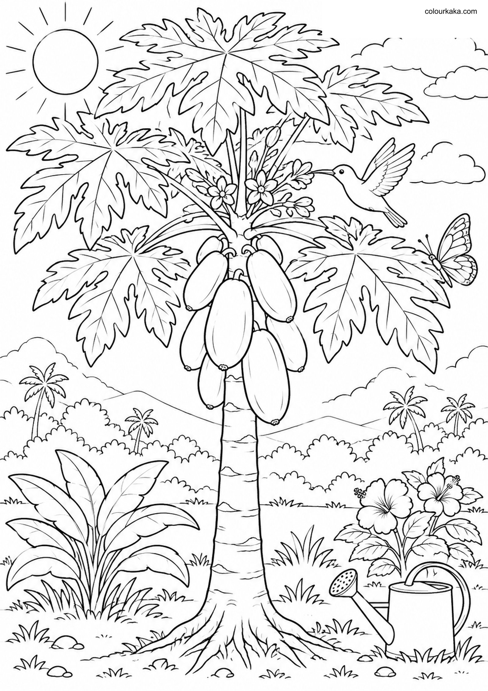 Papaya Plant Colouring Page colouring page preview