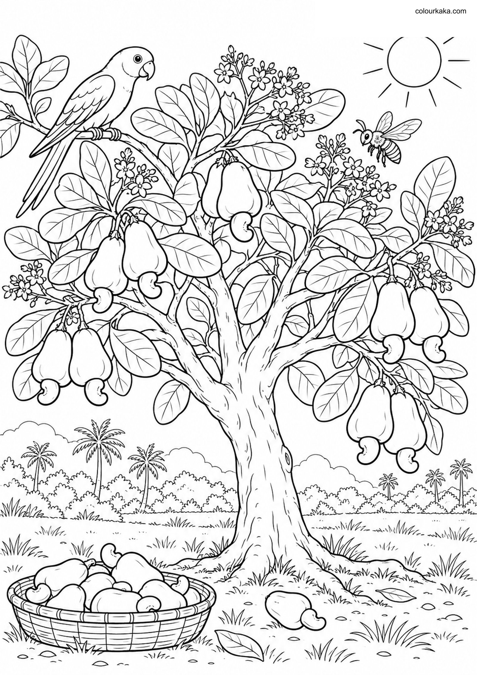 Cashew Tree Harvest Colouring colouring page preview