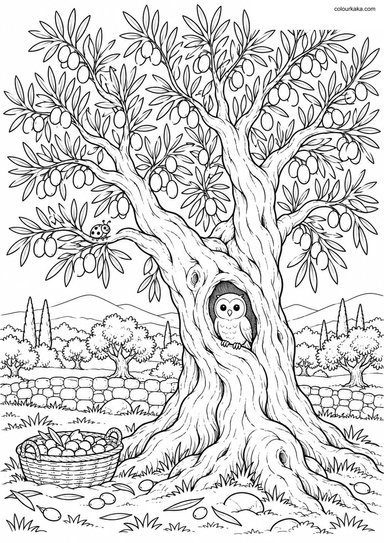 Olive Tree Autumn Colouring colouring page preview