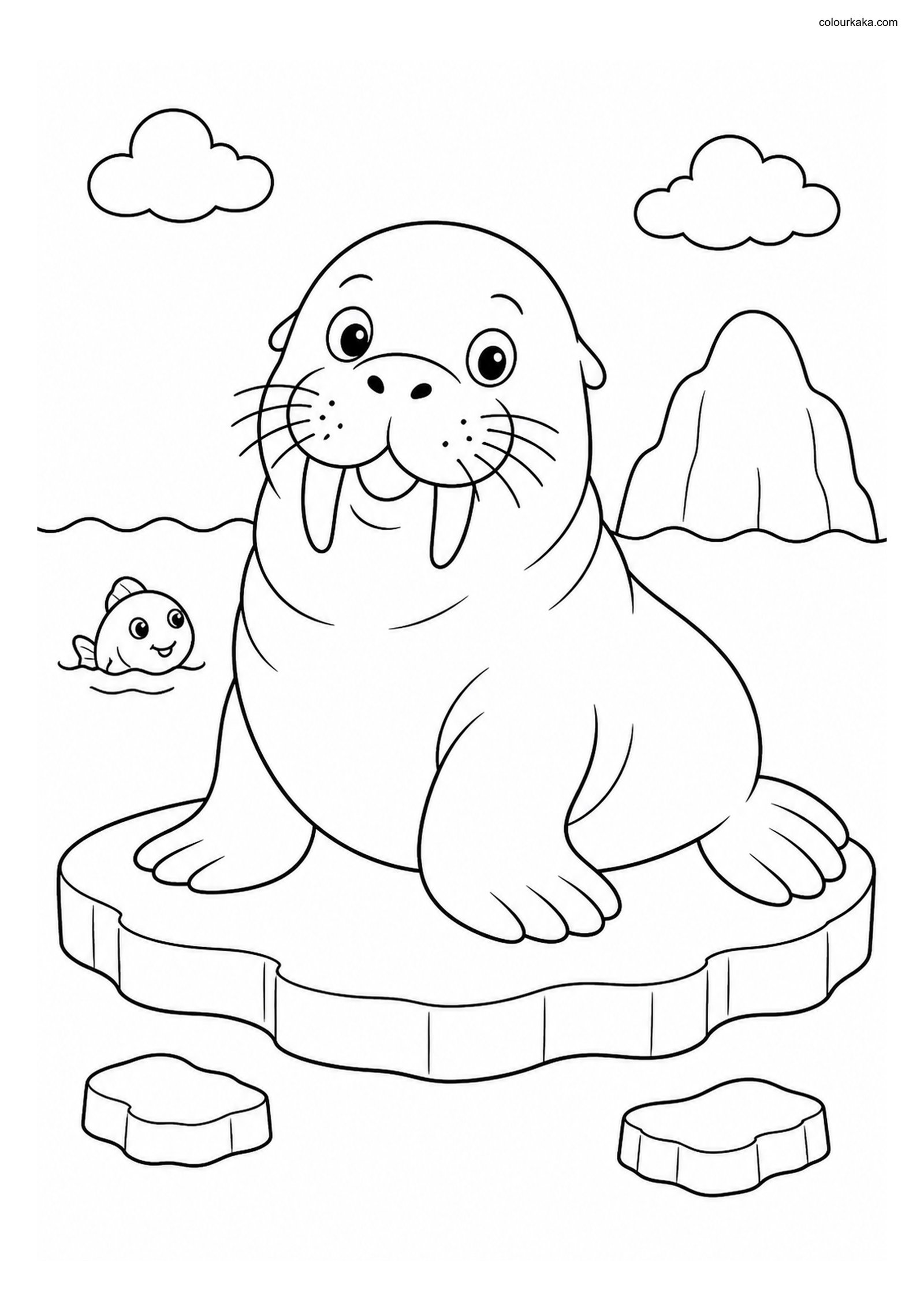 Cute Walrus colouring page preview