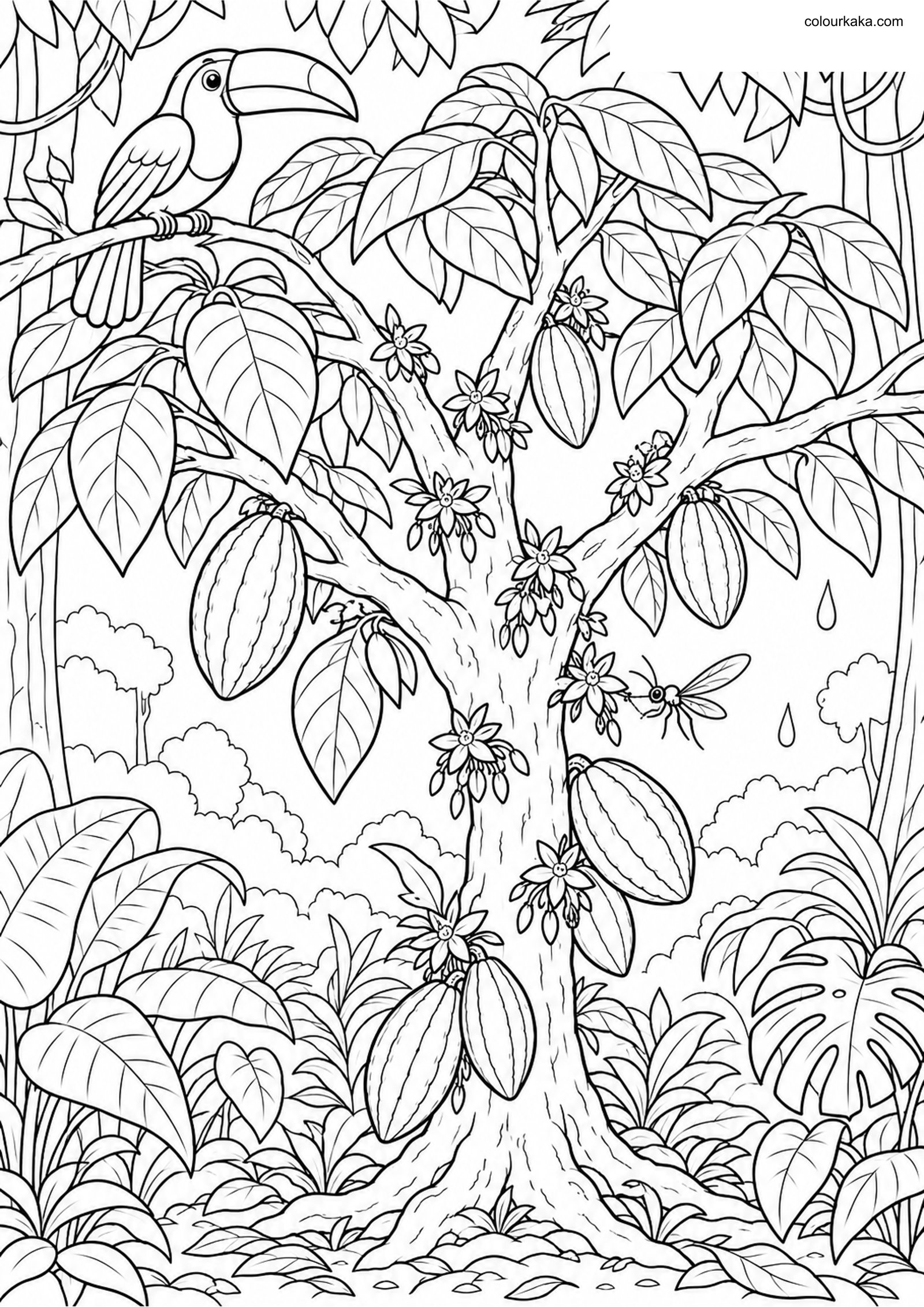 Cacao Rainforest Colouring colouring page preview