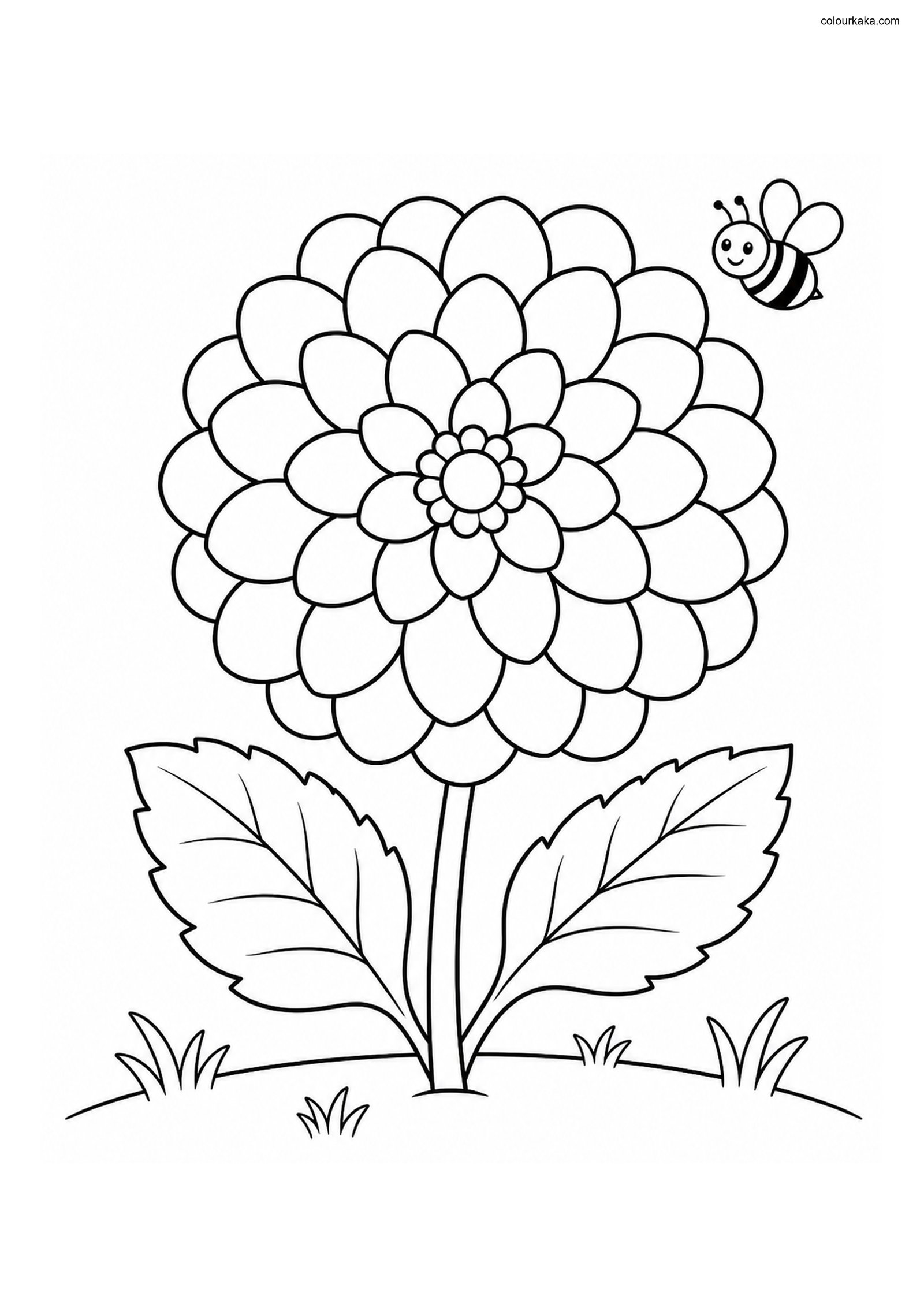 Dahlia Garden Colouring Page colouring page preview