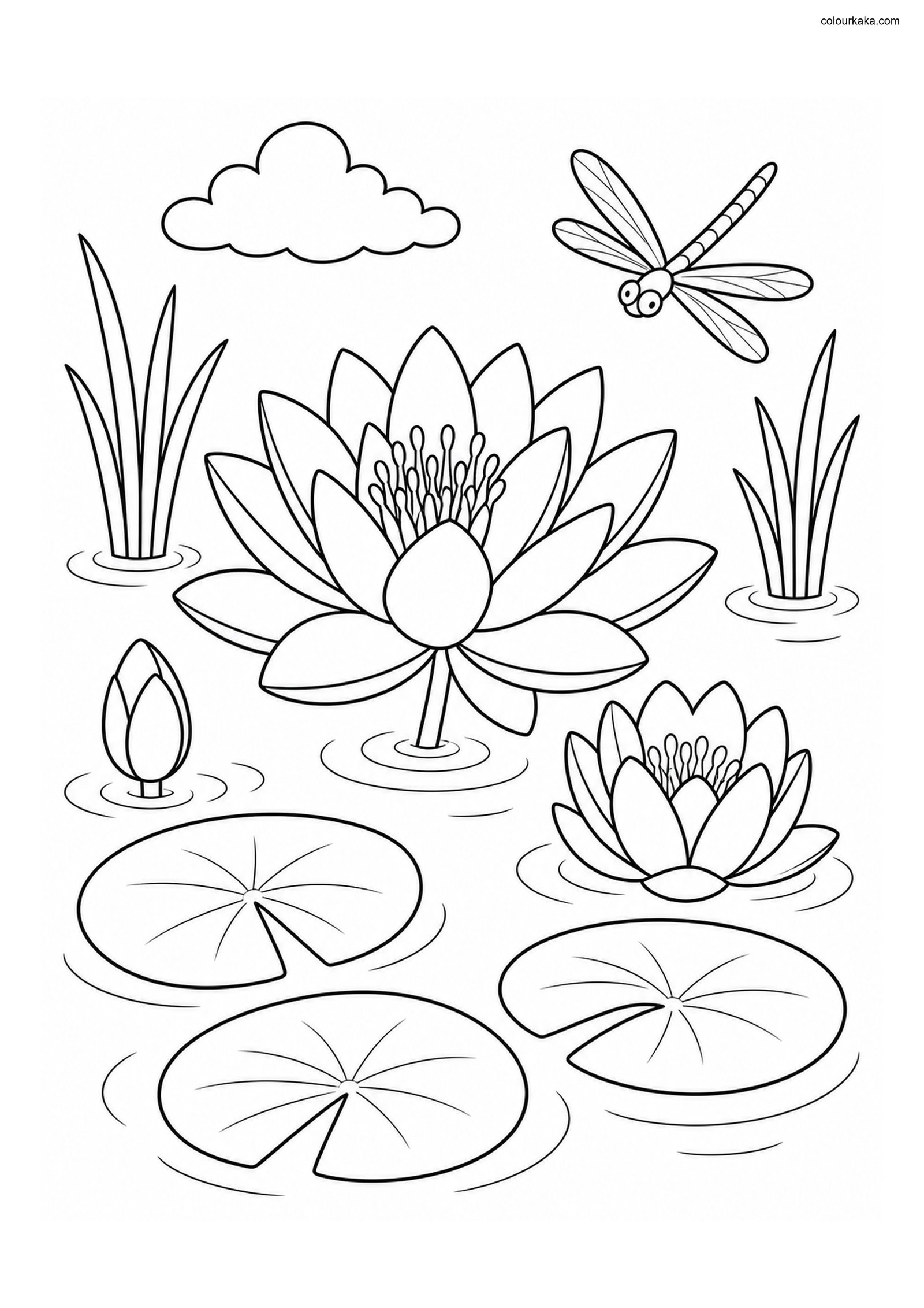 Water Lily Pond Colouring Page colouring page preview