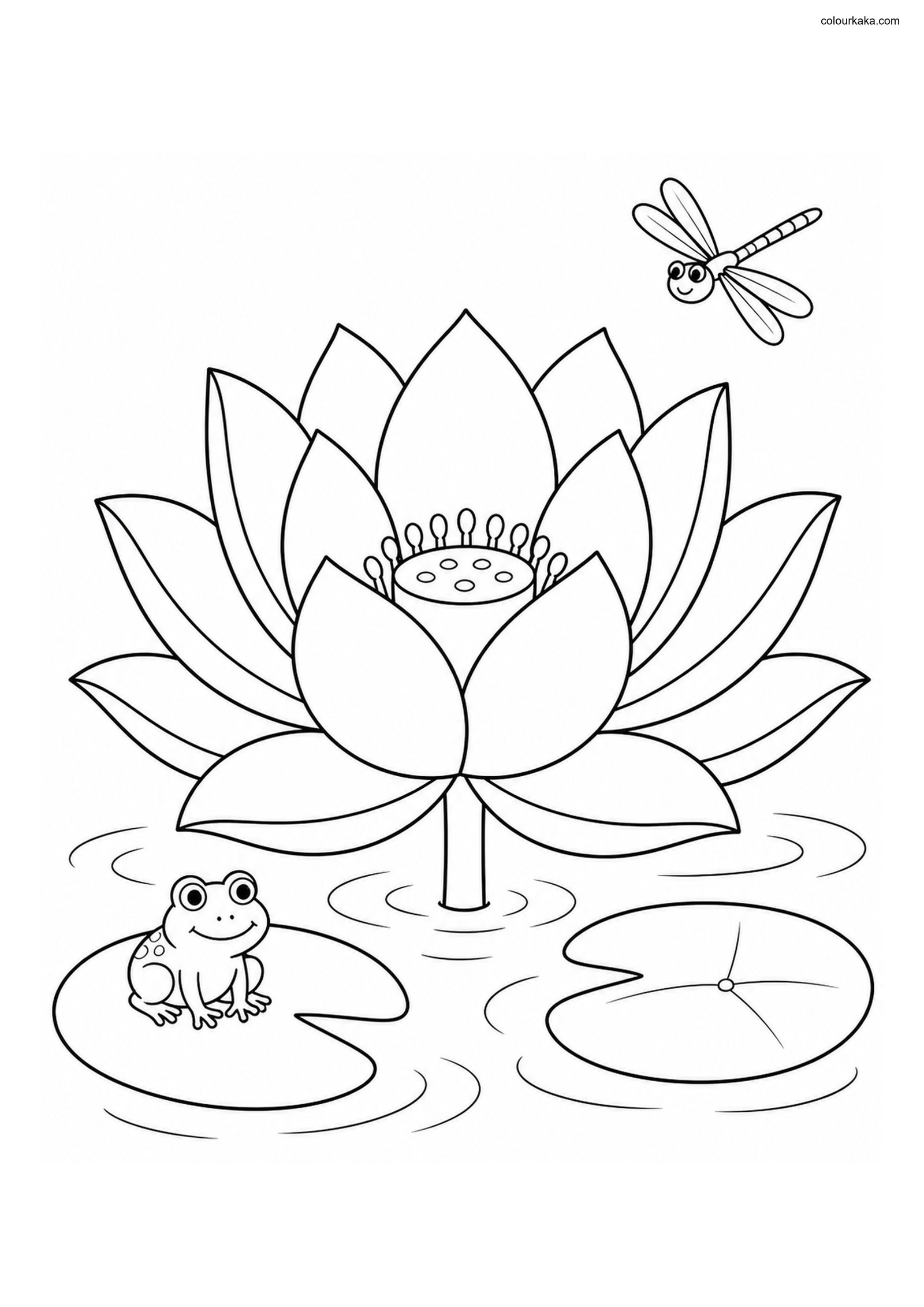 Lotus Pond Colouring Sheet colouring page preview
