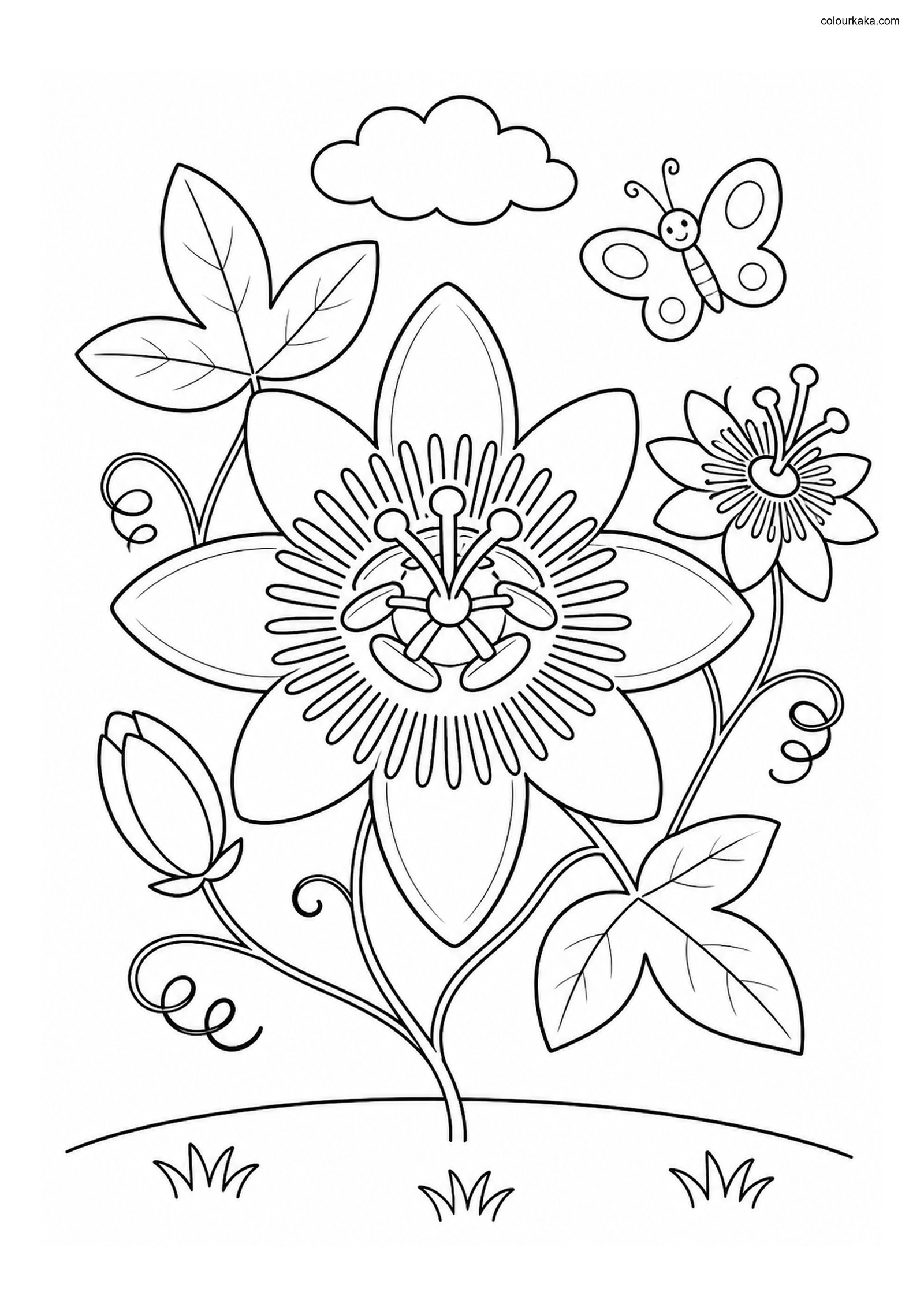 Passion Flower Colouring Page colouring page preview