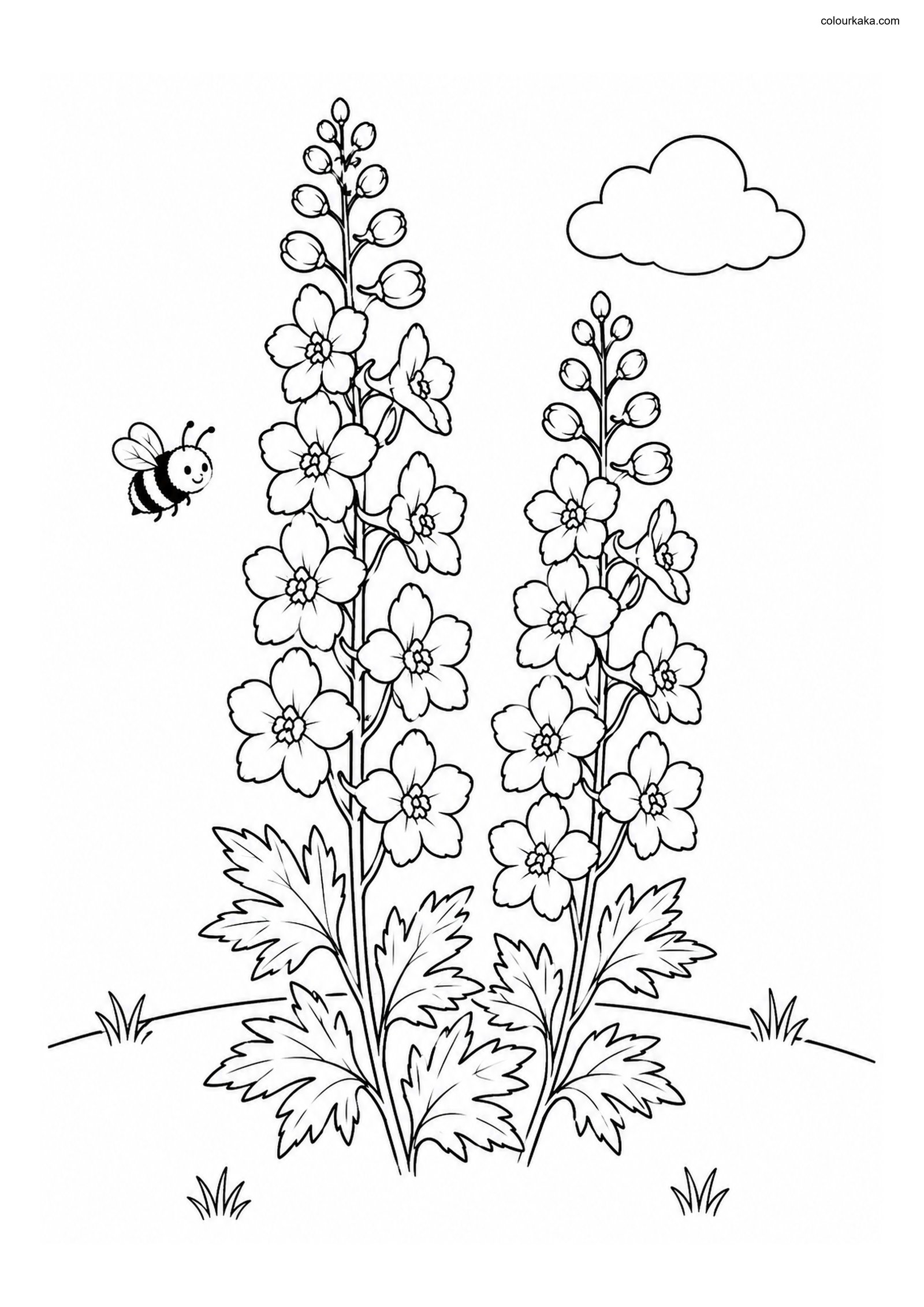 Delphinium Flower Colouring colouring page preview