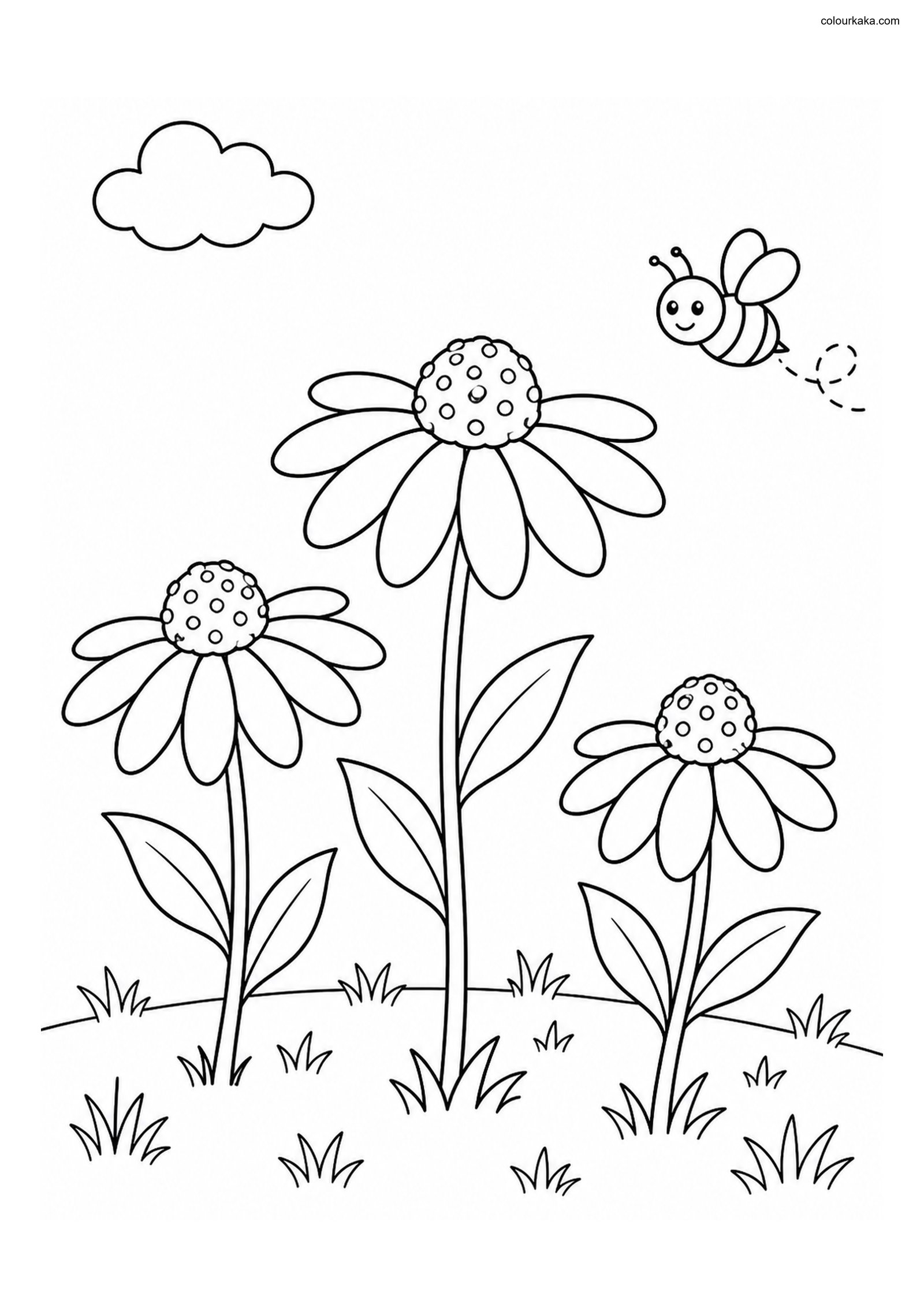 Black-Eyed Susan Colouring colouring page preview