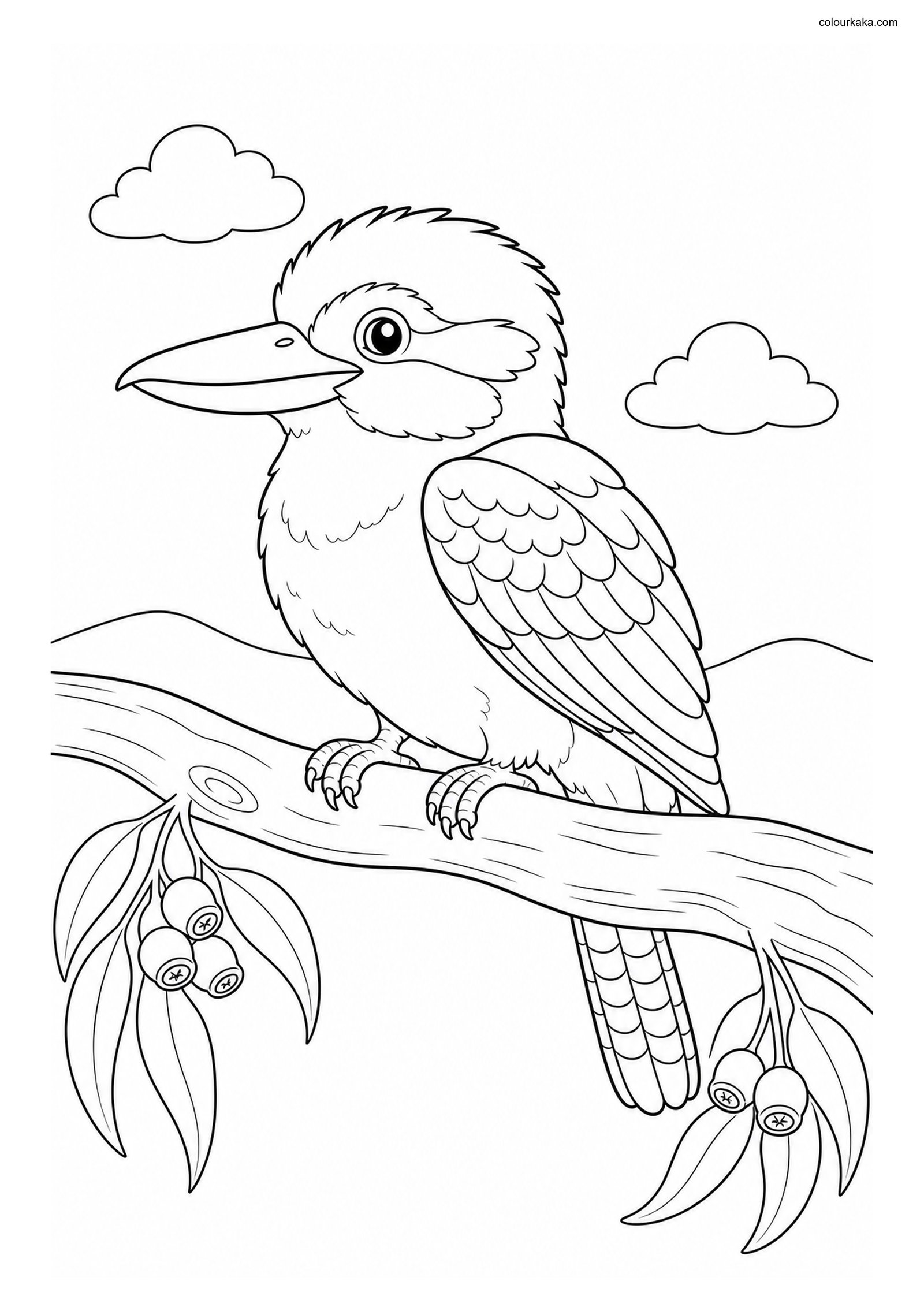 Kookaburra Bird Colouring Craft colouring page preview