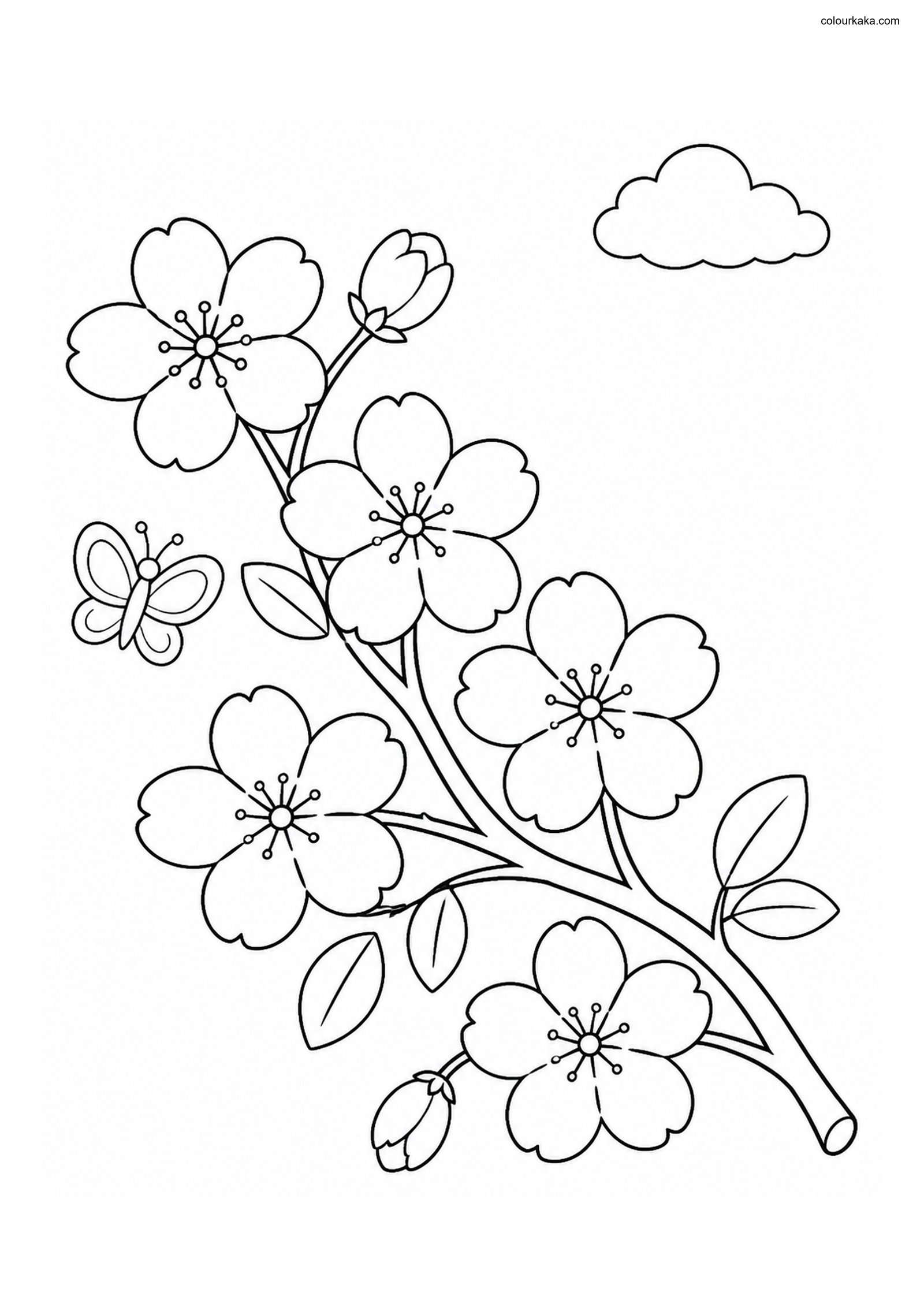 Cherry Blossom Colouring Page colouring page preview