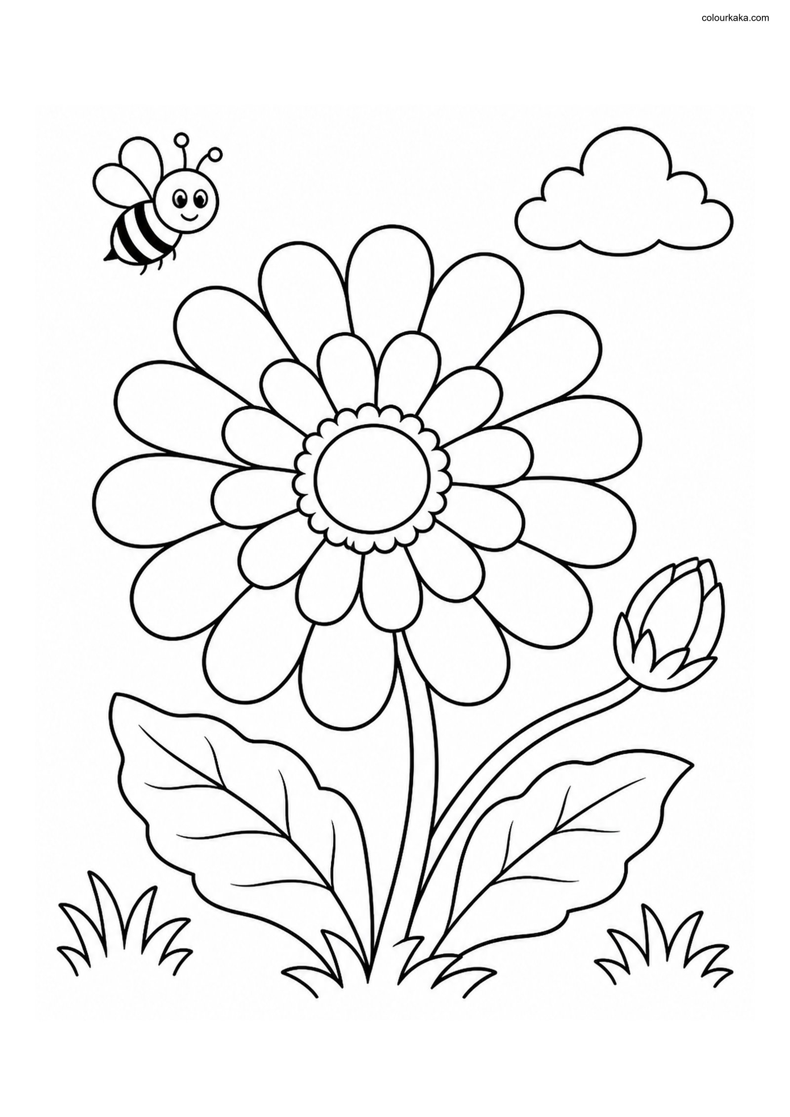 Gerbera Daisy Colouring Page colouring page preview