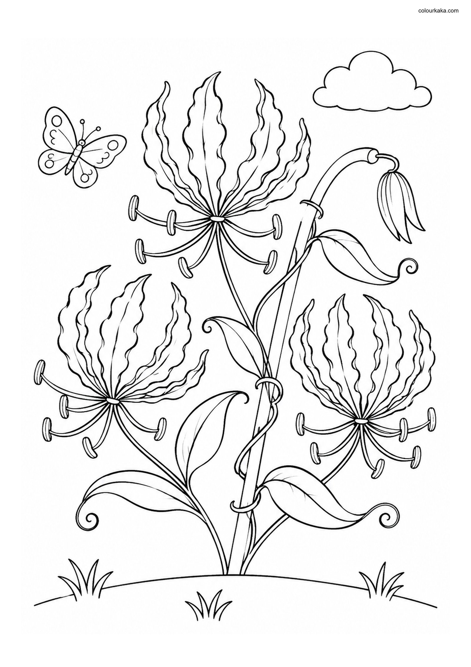 Gloriosa Flower Colouring Page colouring page preview