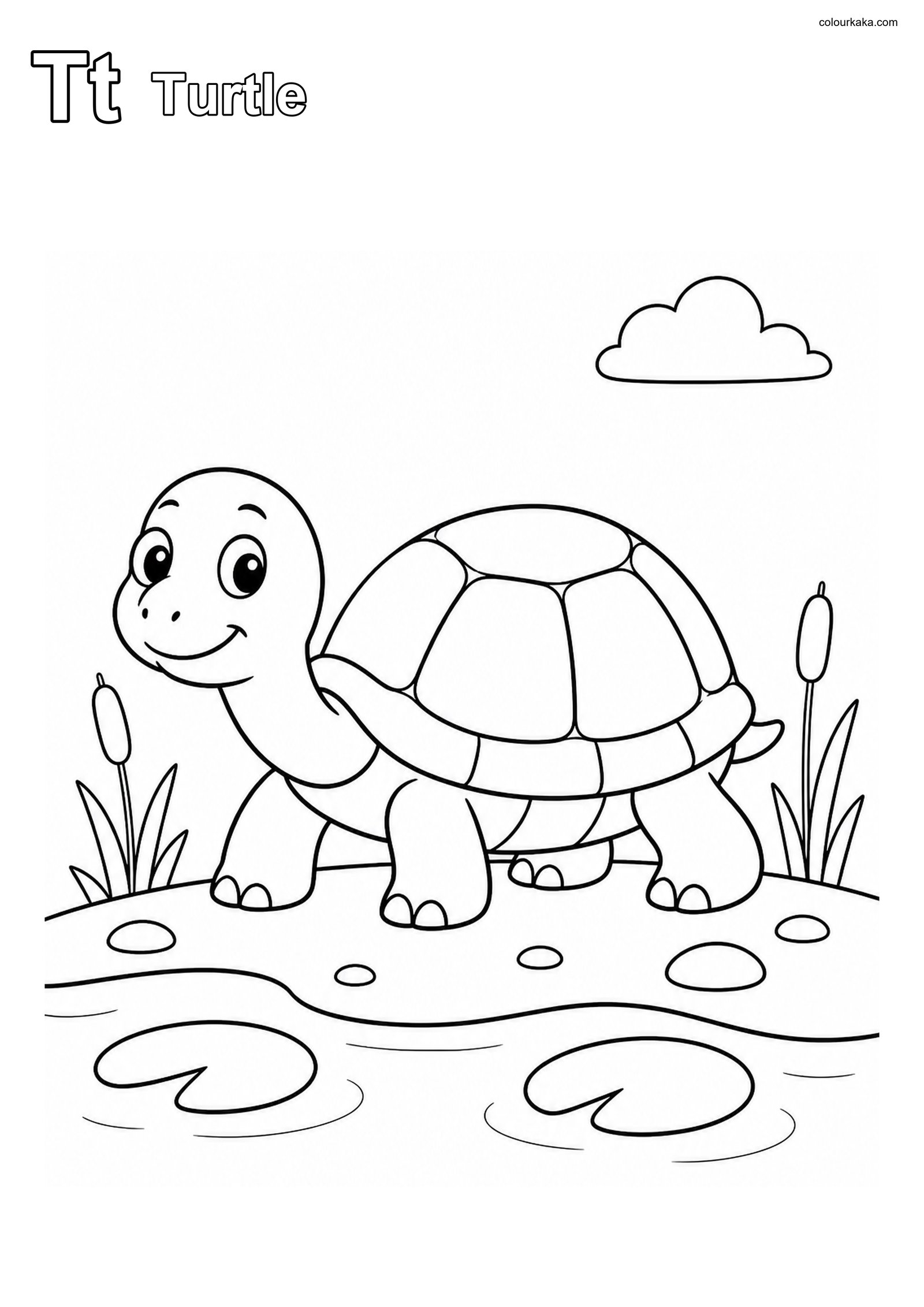 Tt Turtle Phonics Colouring colouring page preview