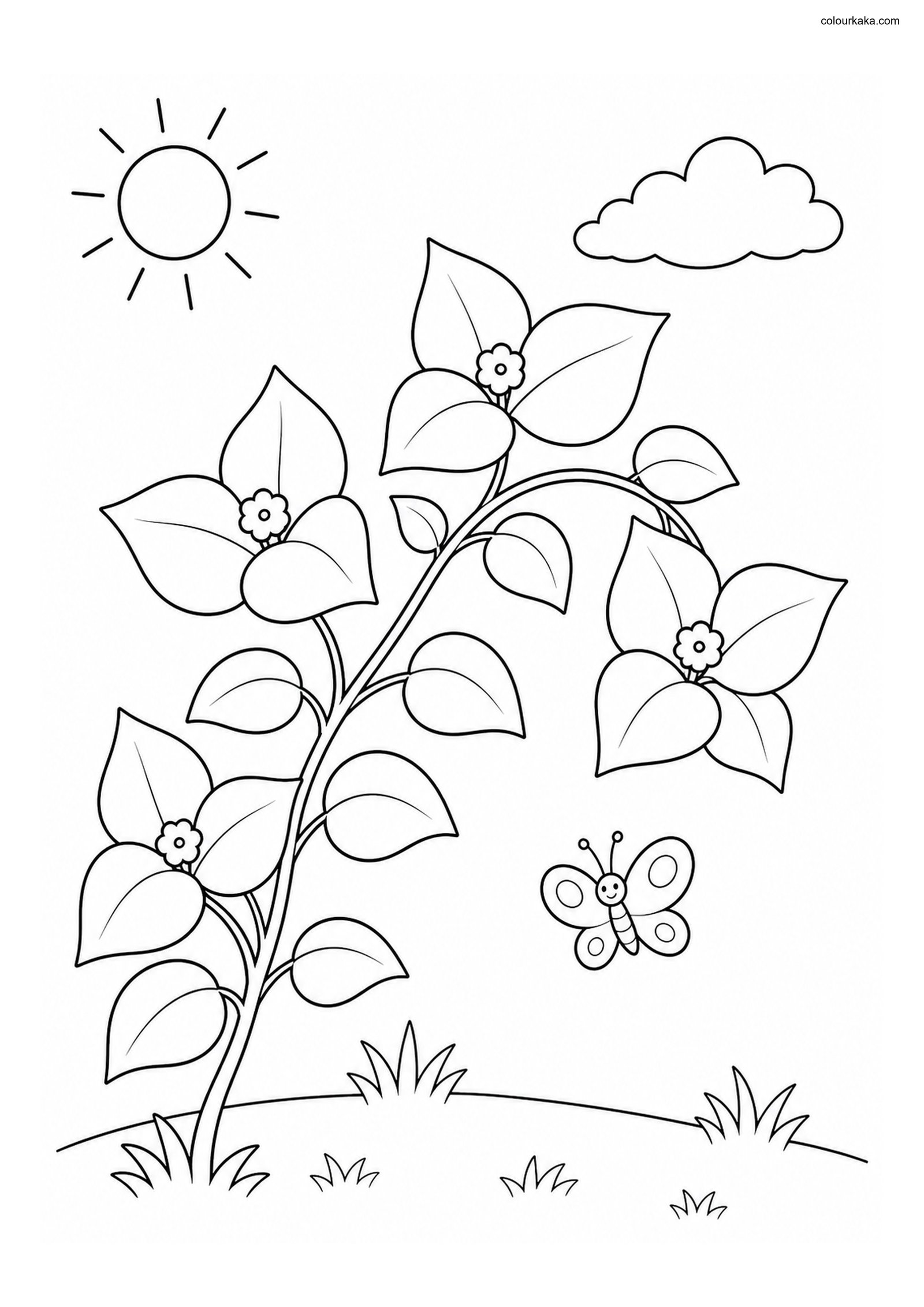 Bougainvillea Colouring Page colouring page preview