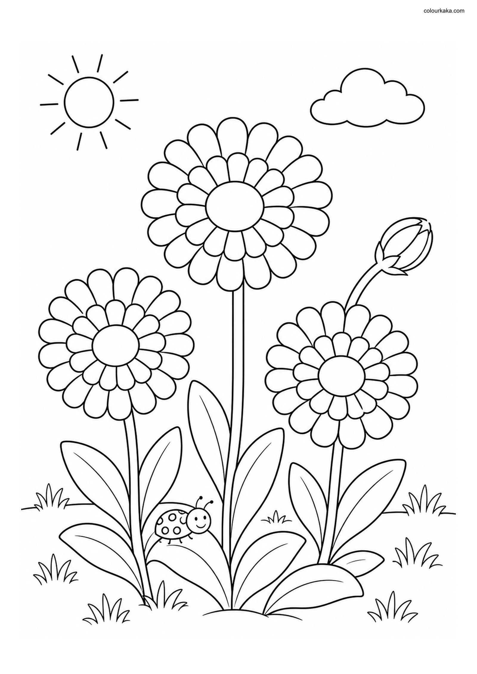 Calendula Flower Colouring colouring page preview