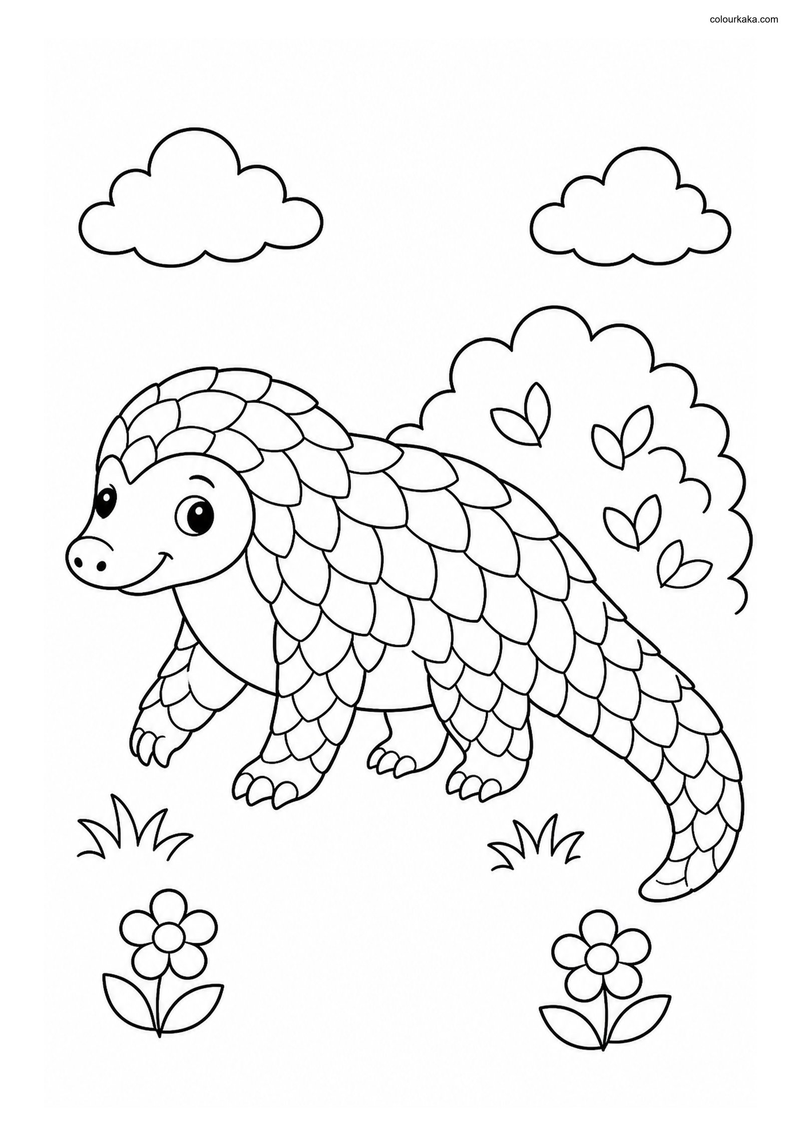 Cute Pangolin colouring page preview
