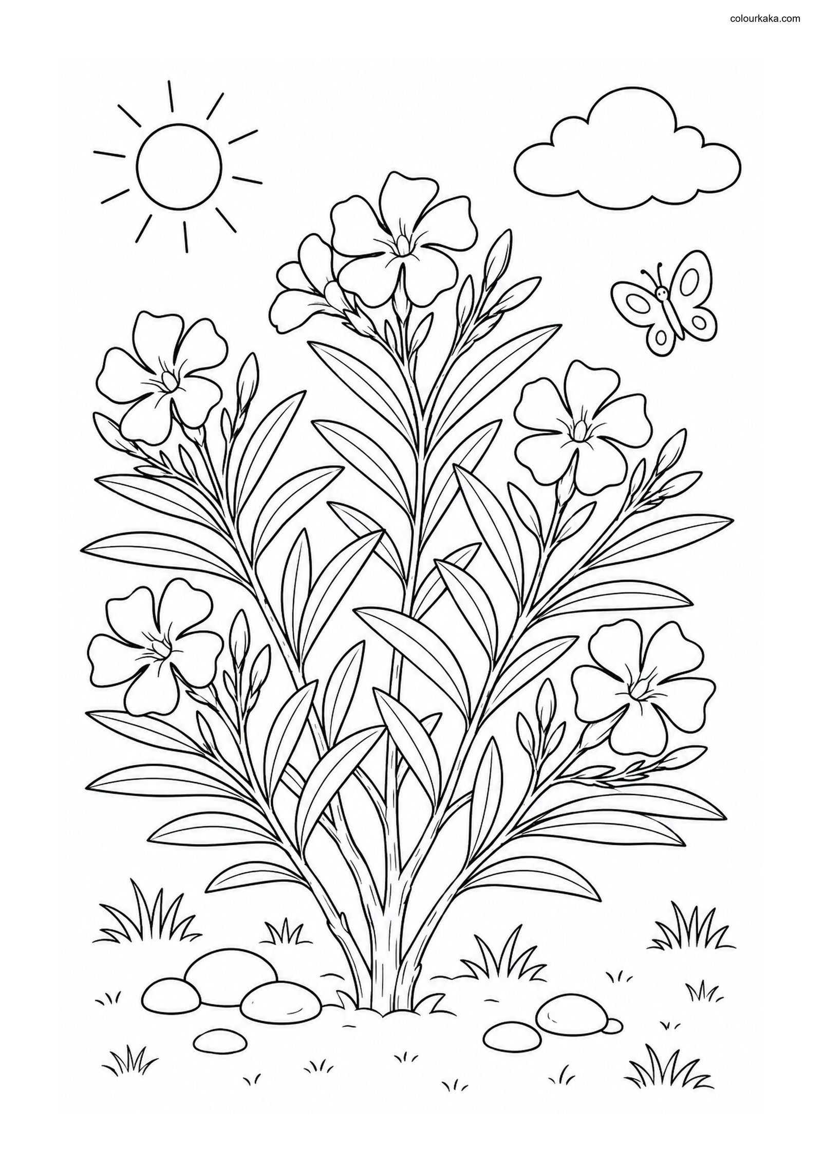 Oleander Garden Colouring Page colouring page preview