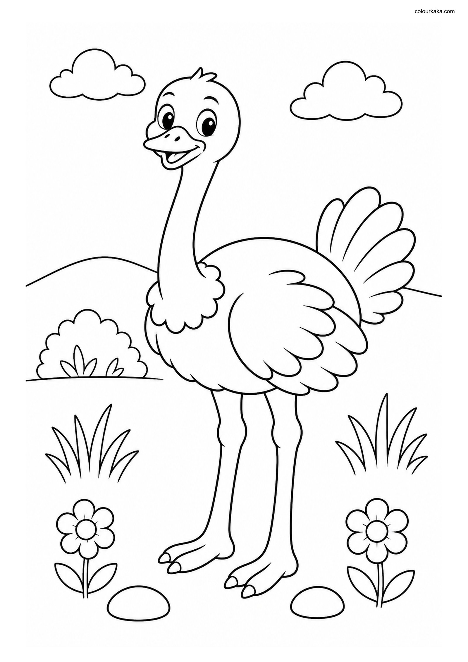 Cute Ostrich colouring page preview
