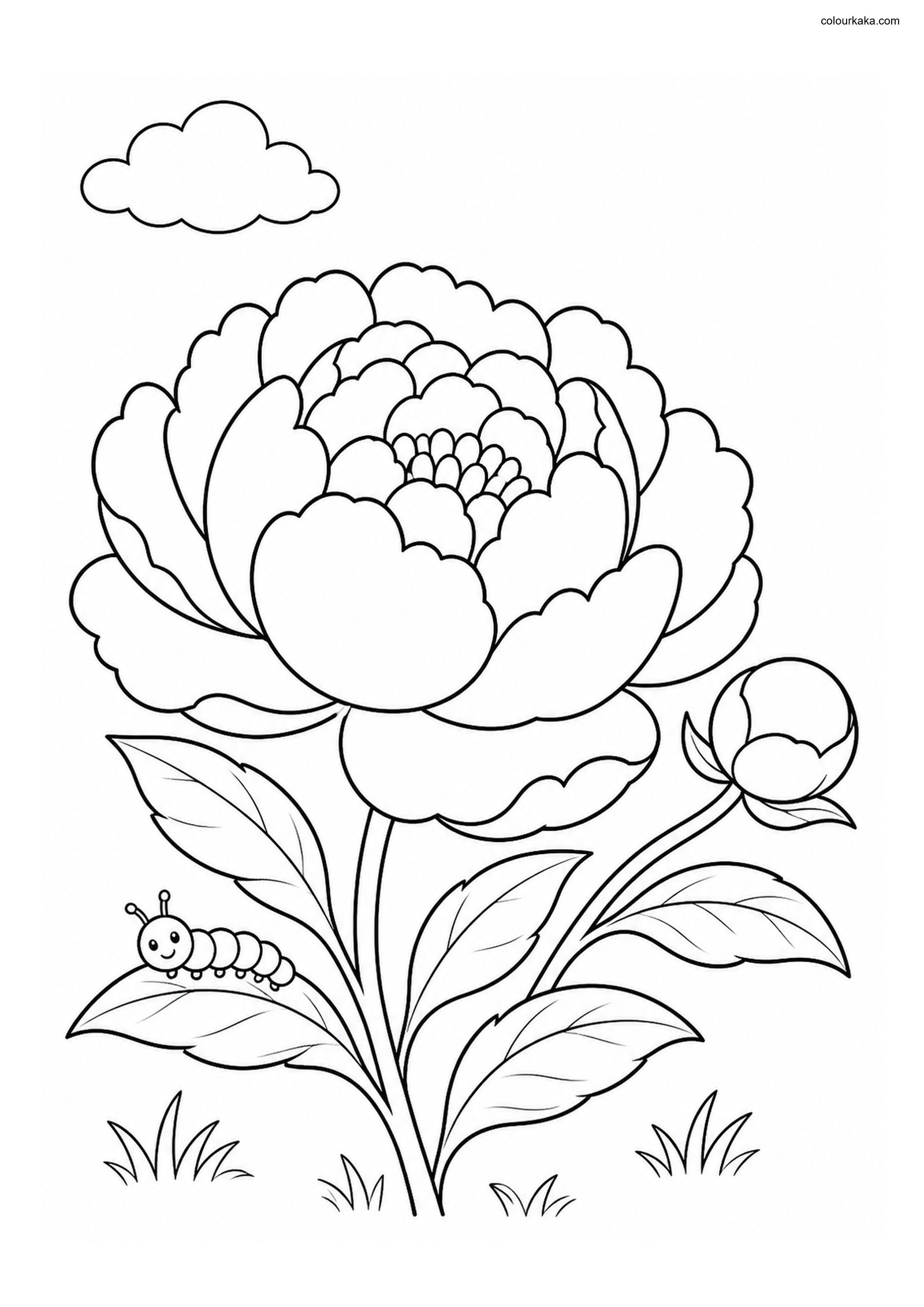 Peony Garden Colouring Sheet colouring page preview