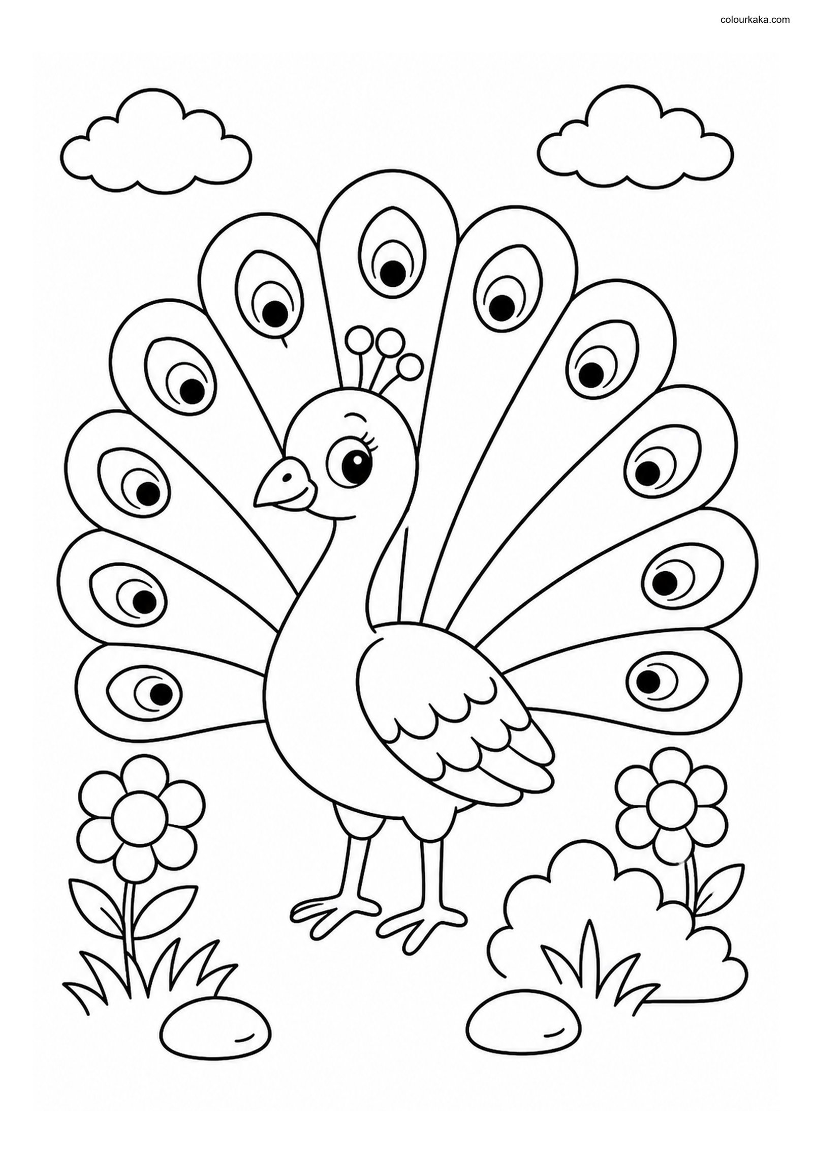 Cute Peacock colouring page preview