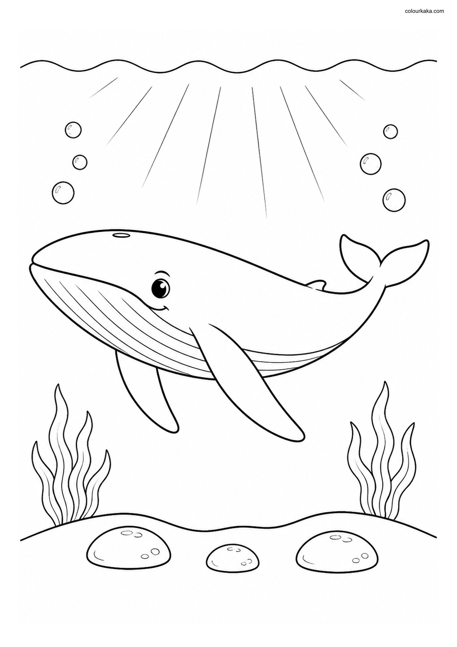 Gentle Blue Whale Colouring Page colouring page preview