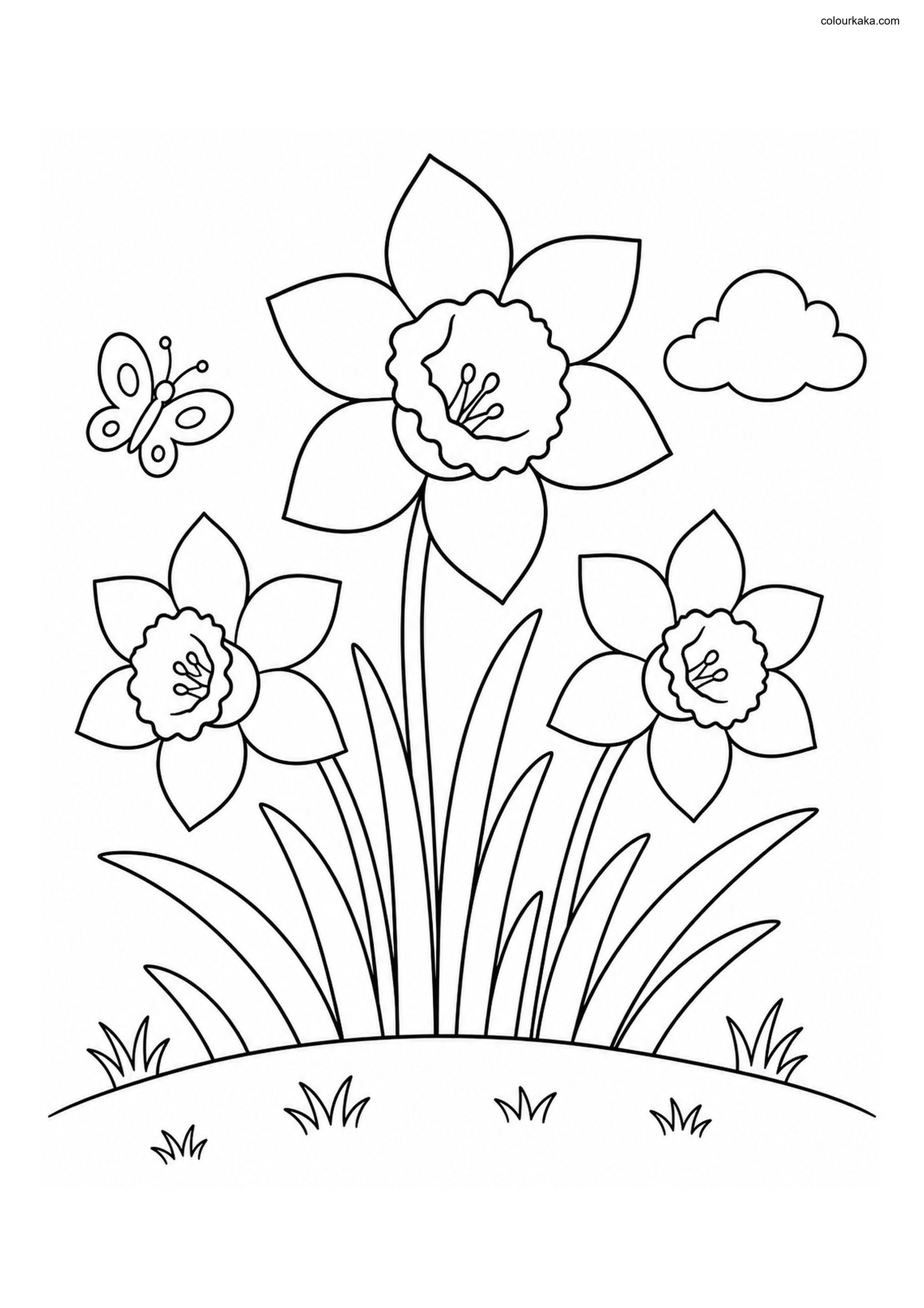 Daffodil Spring Colouring colouring page preview