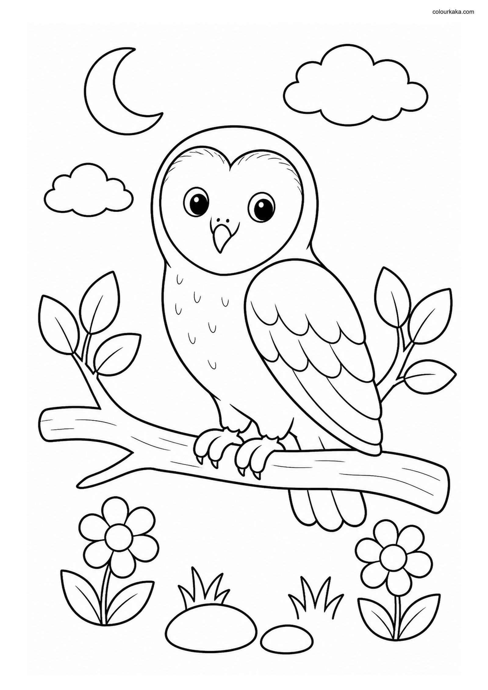 Cute Barn Owl colouring page preview