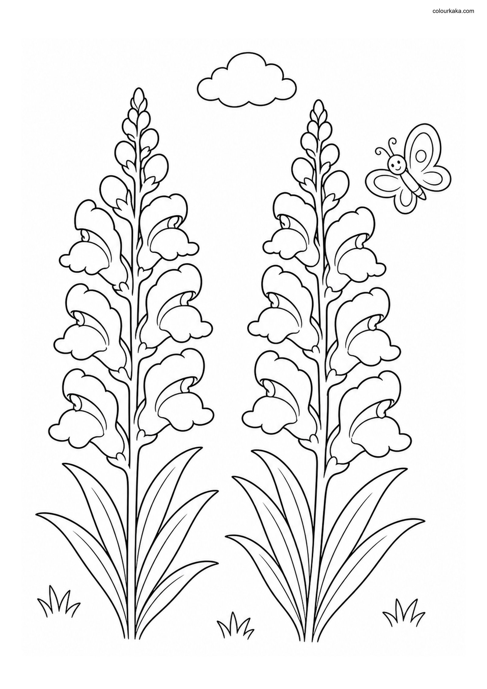 Snapdragon Garden Colouring colouring page preview