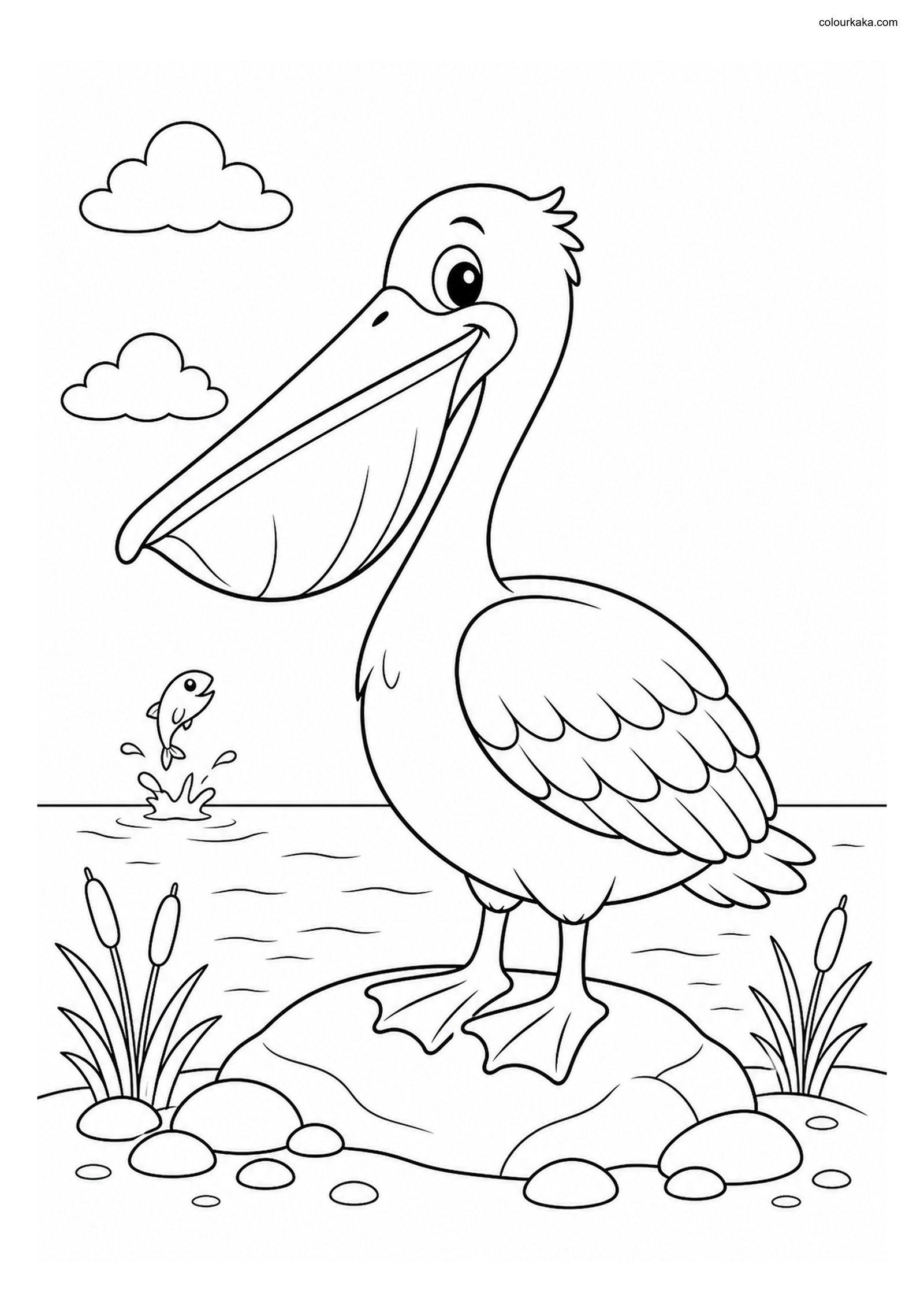 Cute Pelican colouring page preview