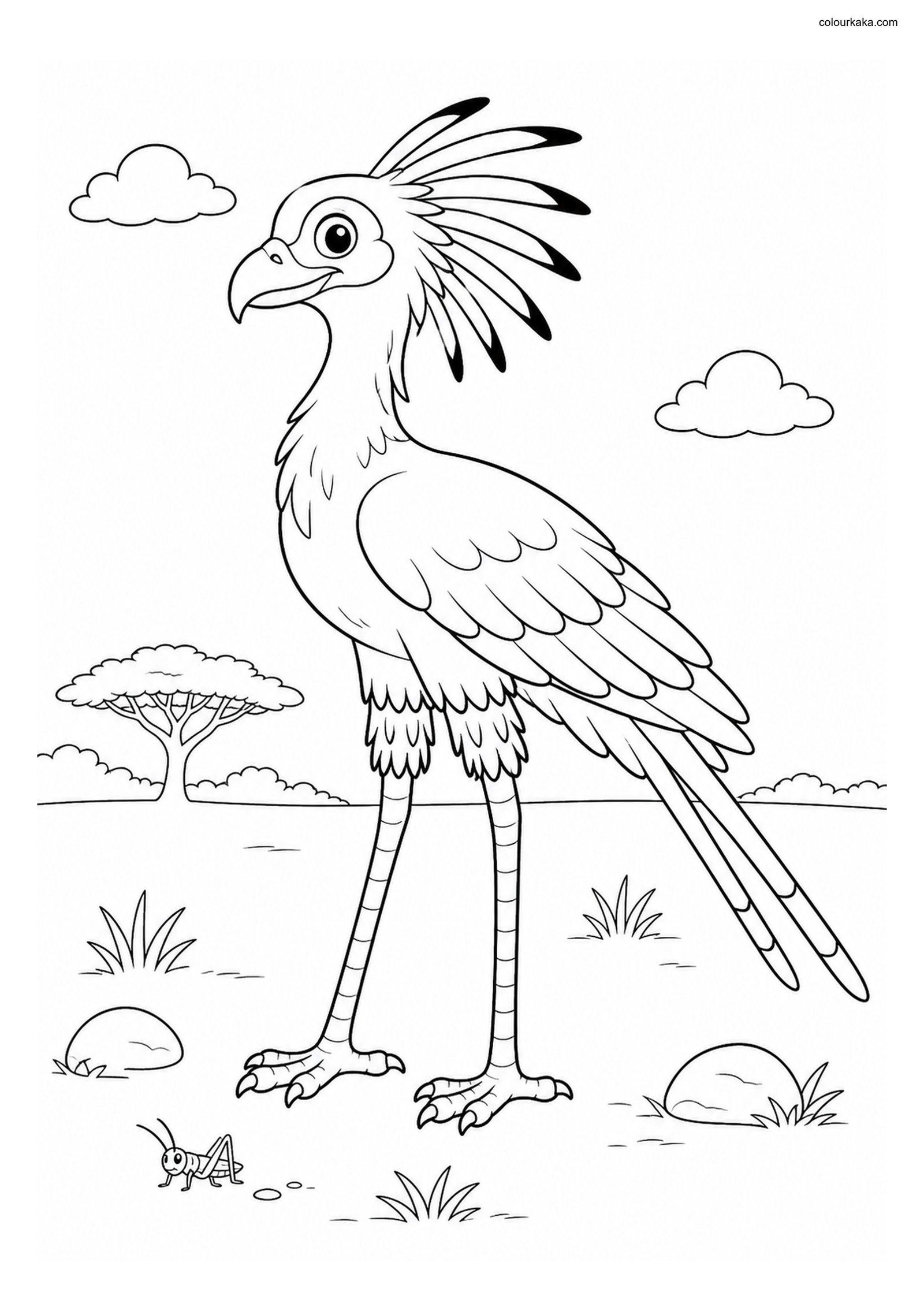 Cute Secretary Bird colouring page preview