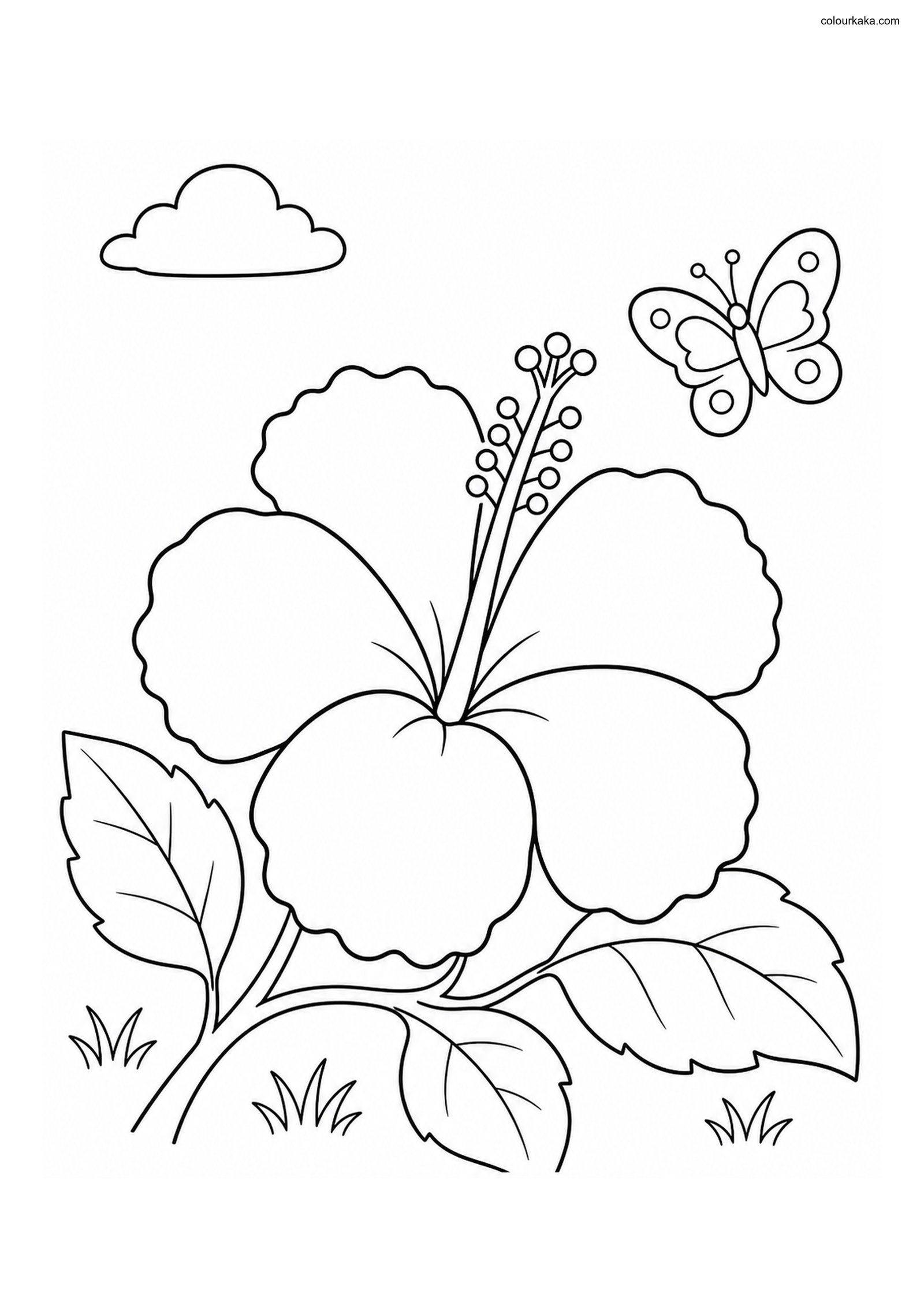 Hibiscus Tropical Colouring colouring page preview