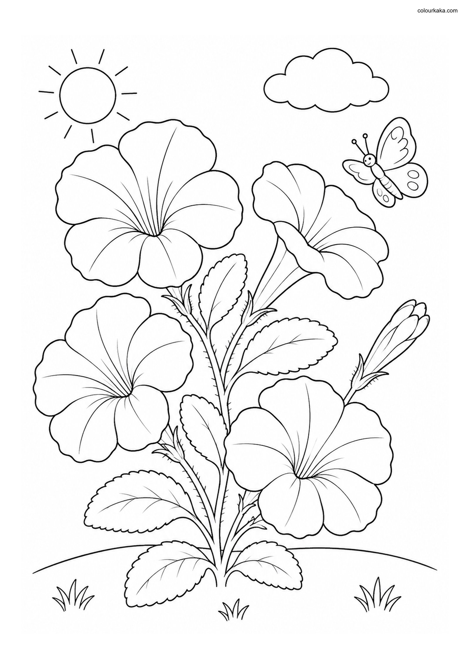 Petunia Garden Colouring Page colouring page preview