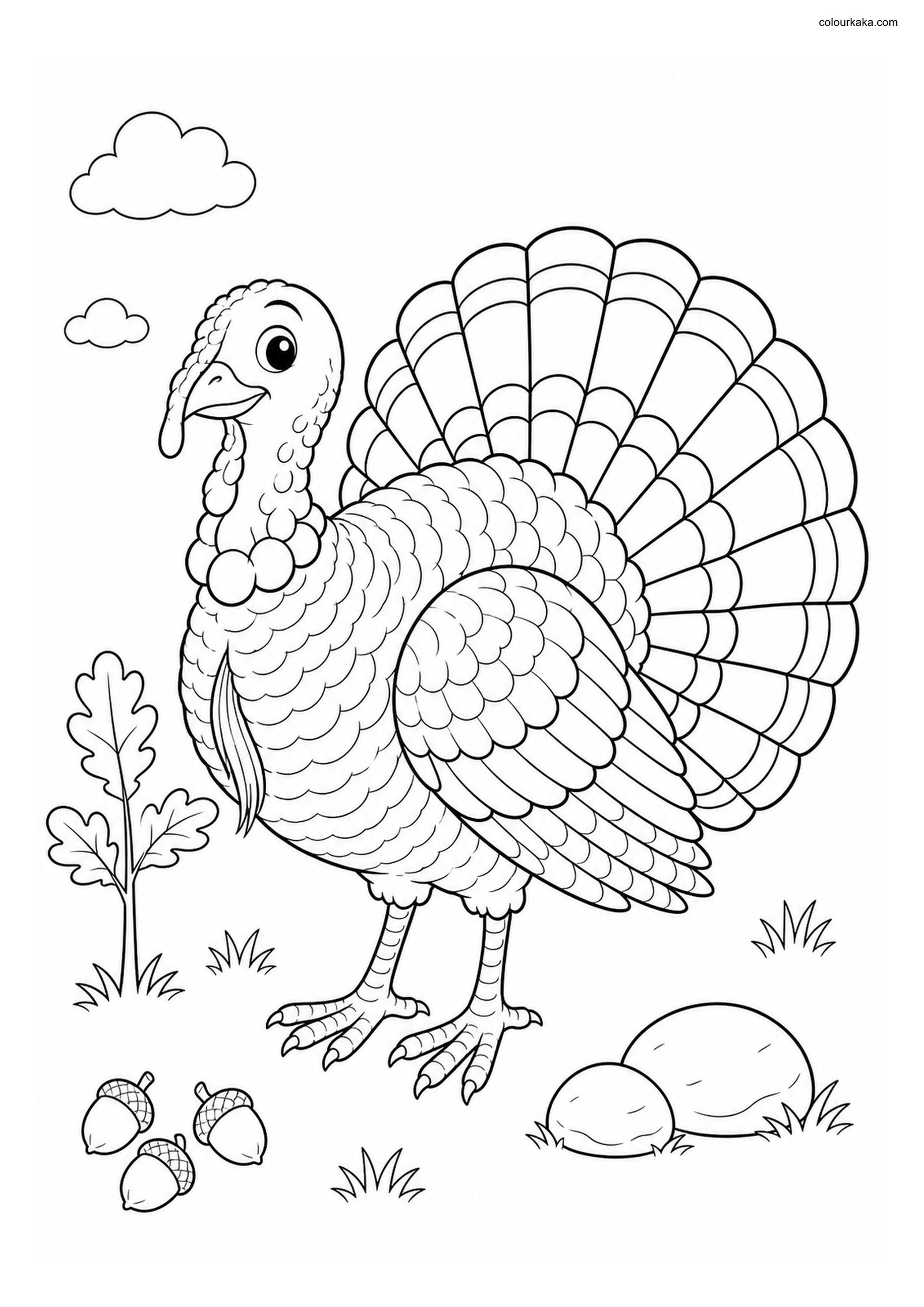 Cute Wild Turkey colouring page preview