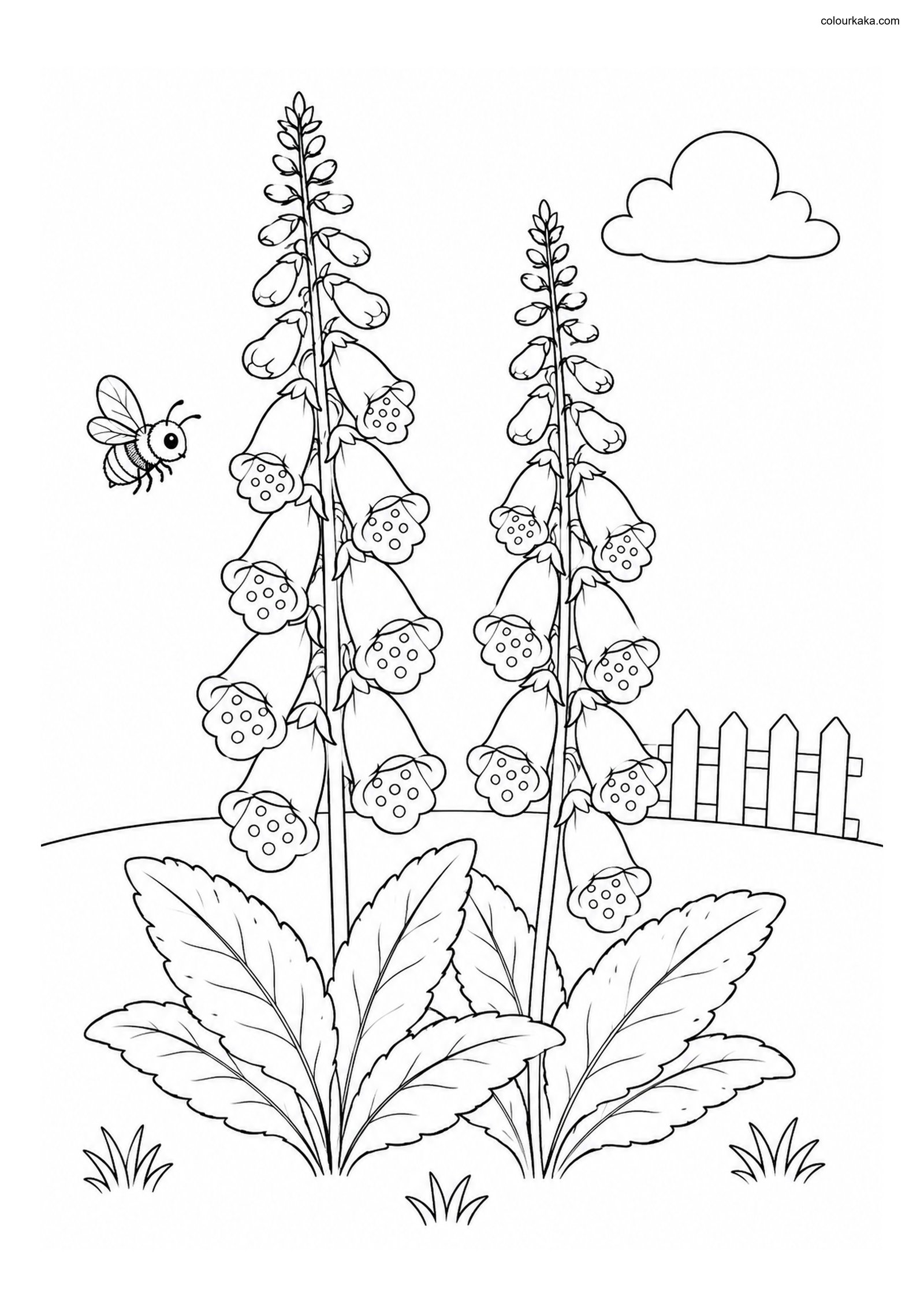 Foxglove Flower Colouring Page colouring page preview