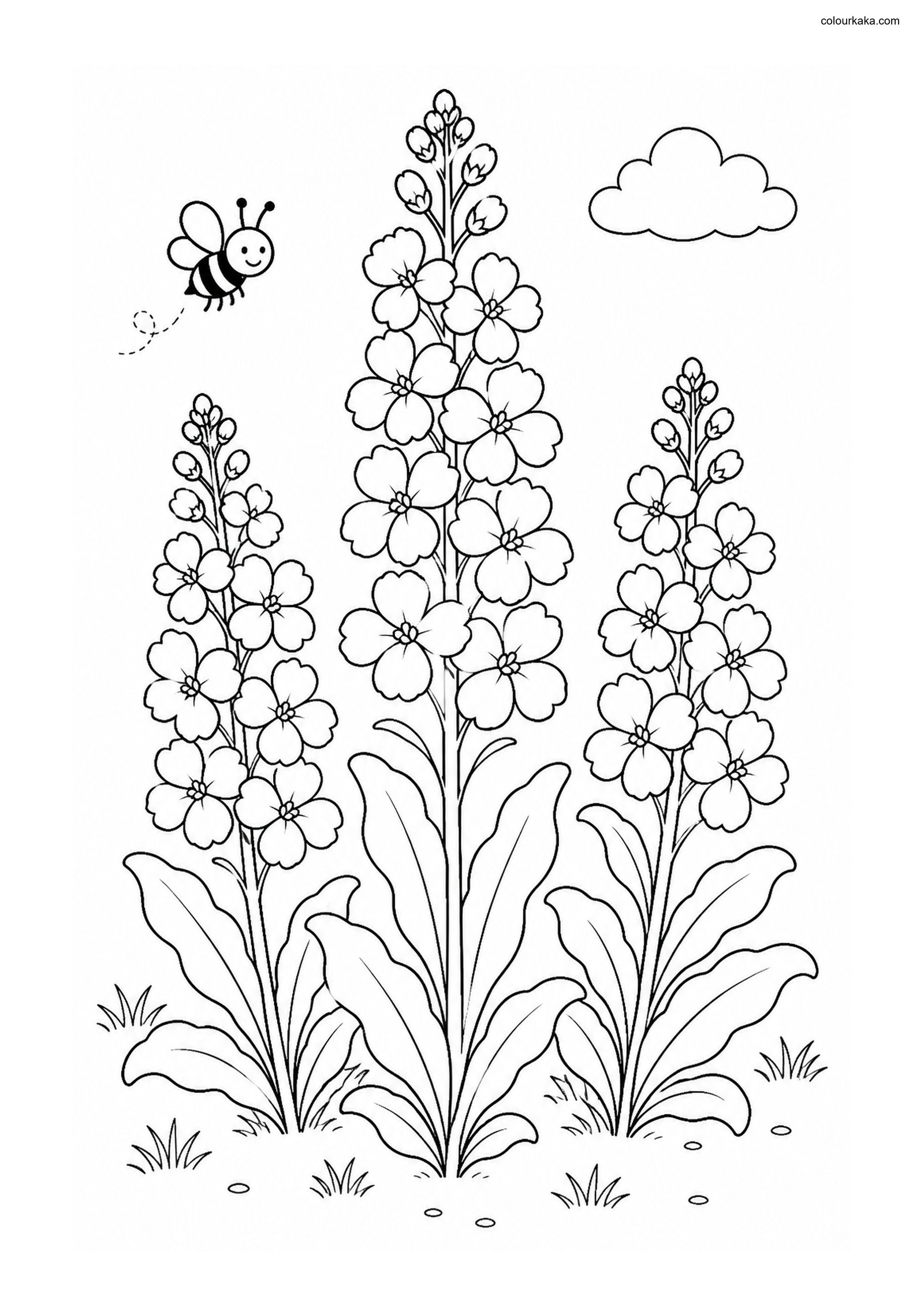 Stock Flower Colouring Page colouring page preview