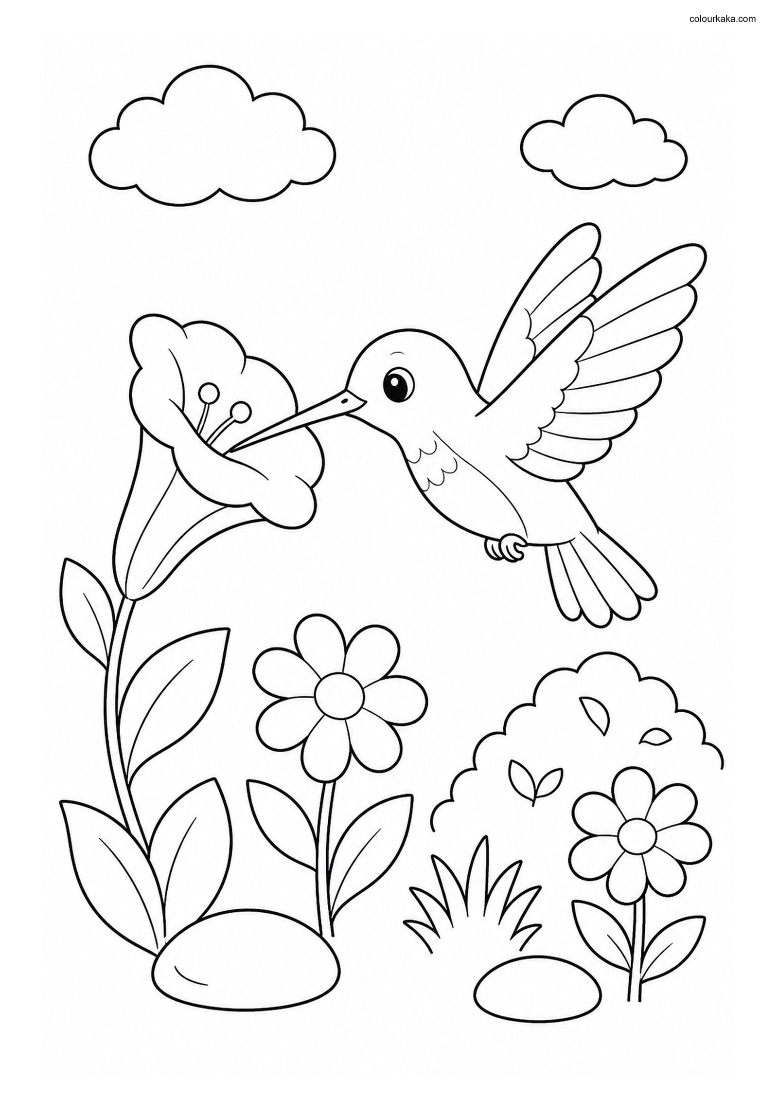 Cute Hummingbird colouring page preview