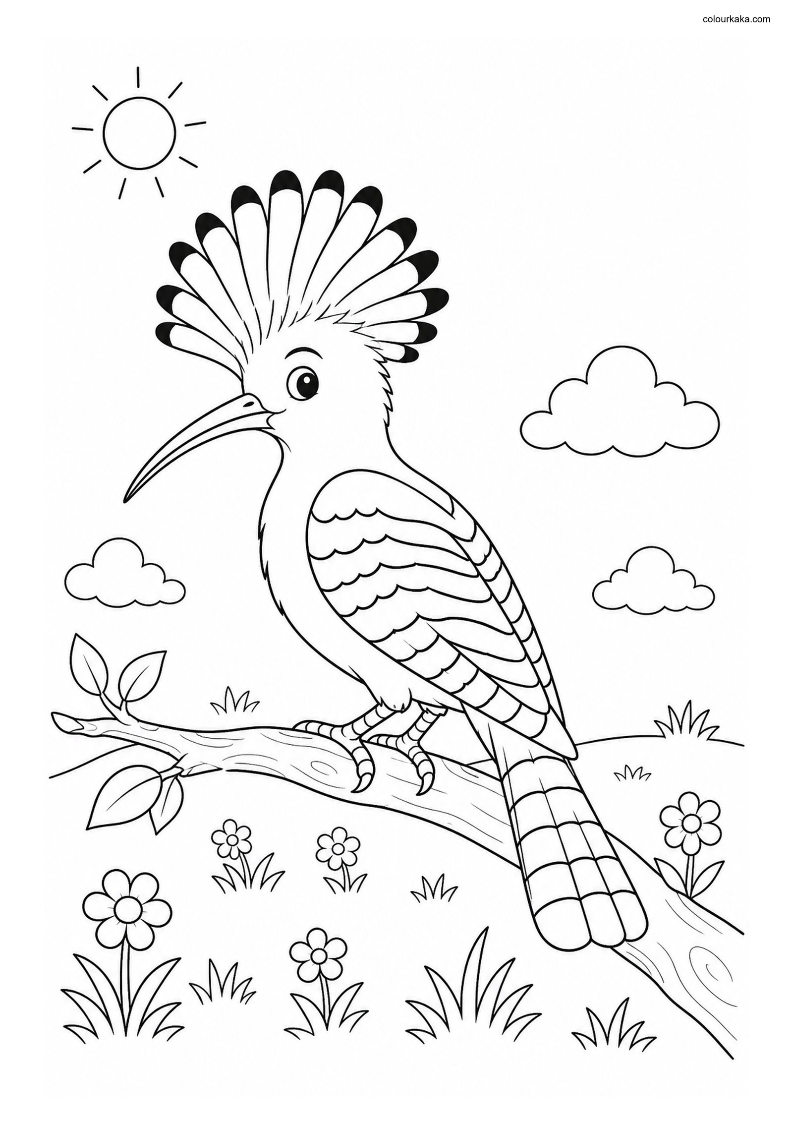 Hoopoe Bird Colouring Page for Kids colouring page preview