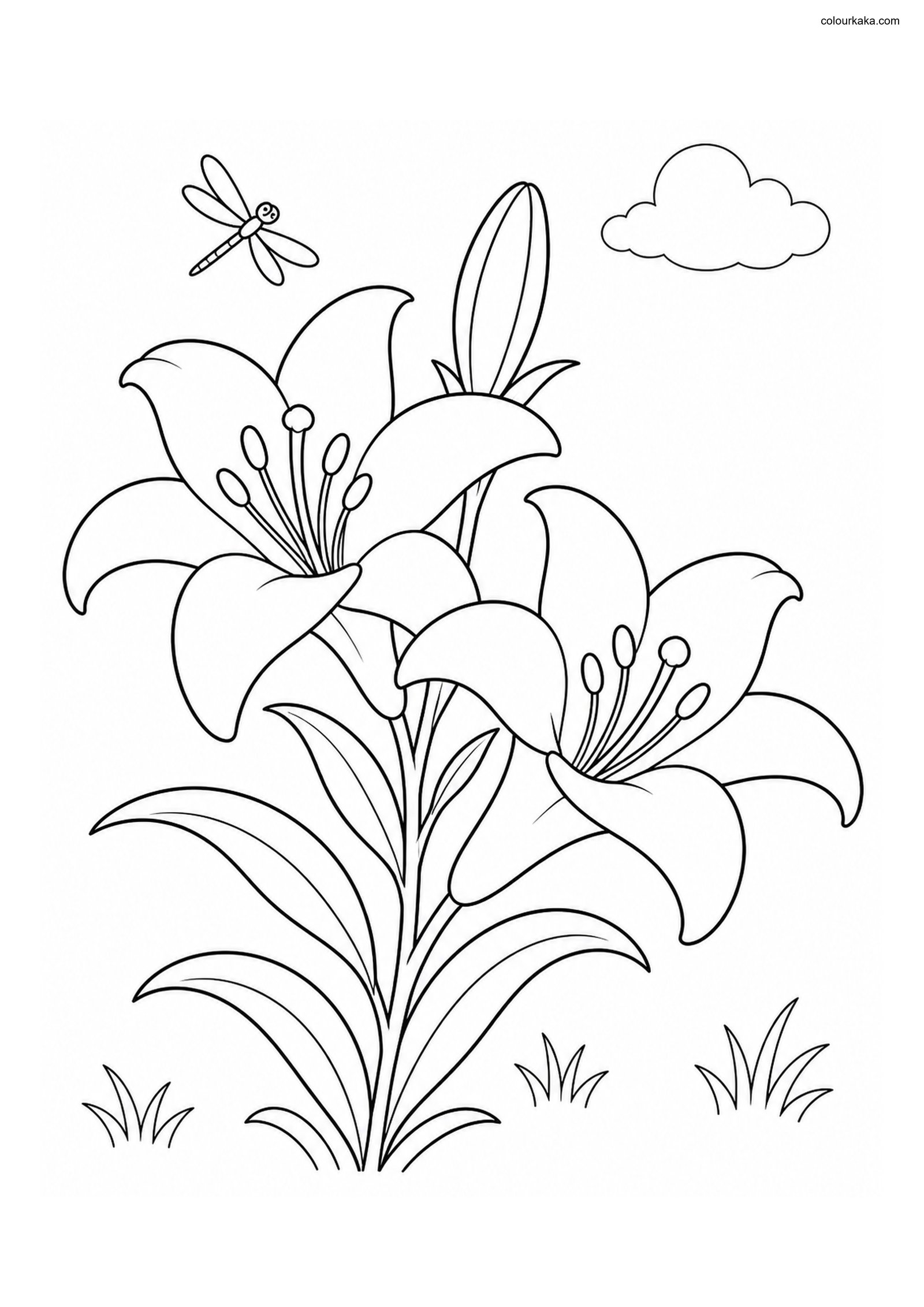 Lily Garden Colouring Page colouring page preview